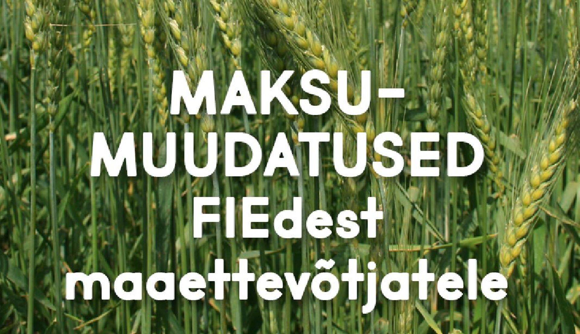 Millised maksumuudatused ootavad ees FIEdest maaettevõtjat