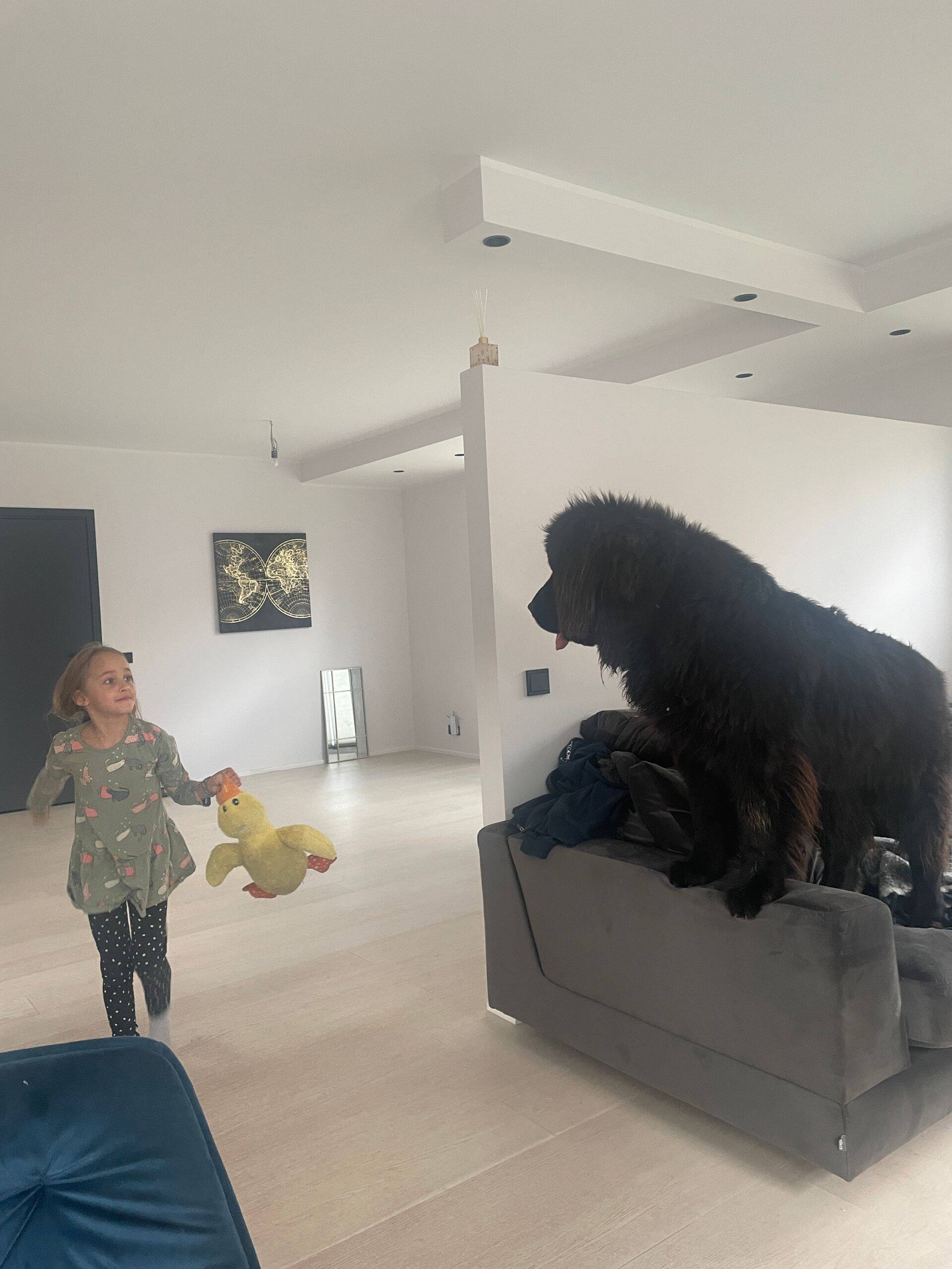Rambo on peretütre parim sõber.