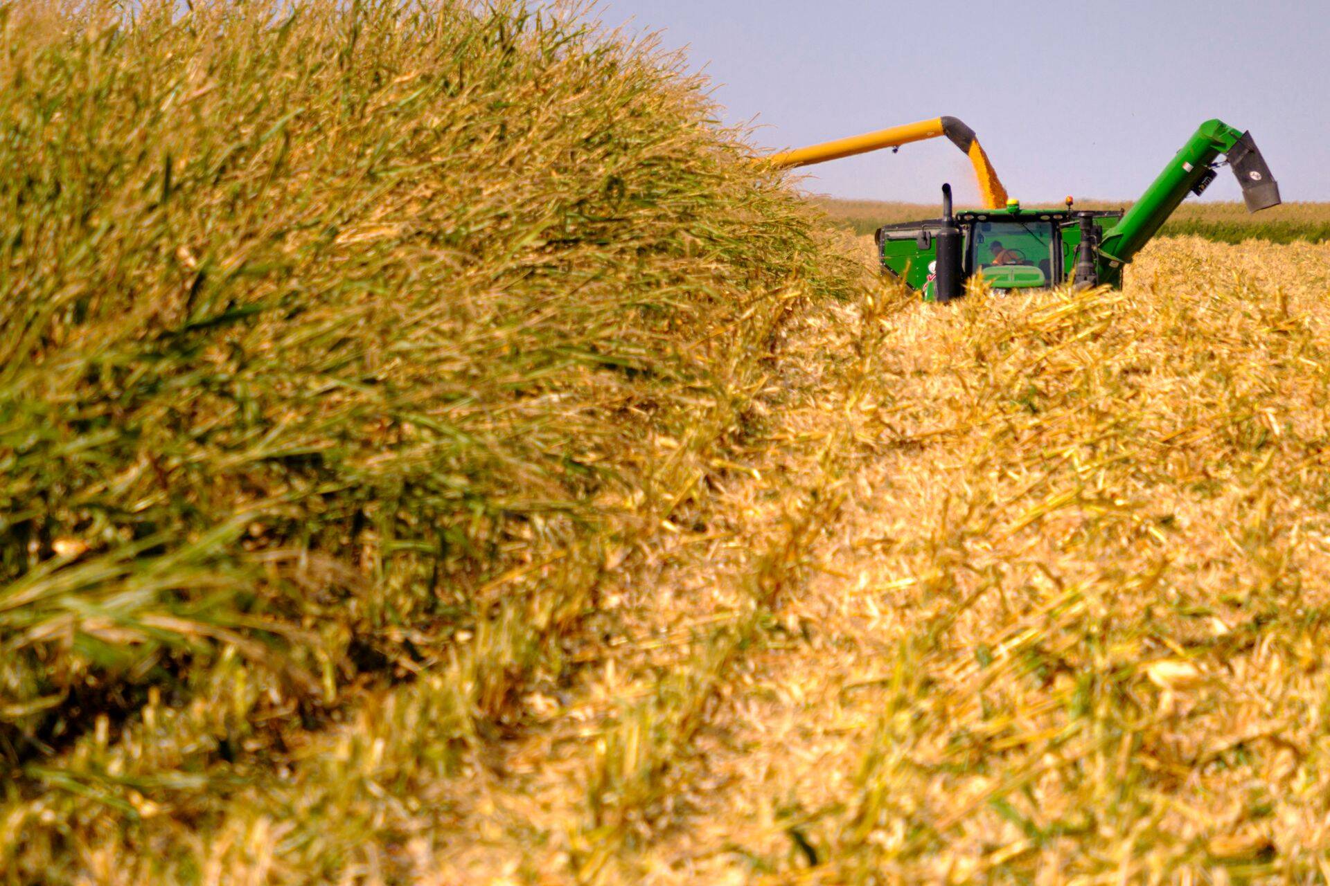 Иллюстративное фото.