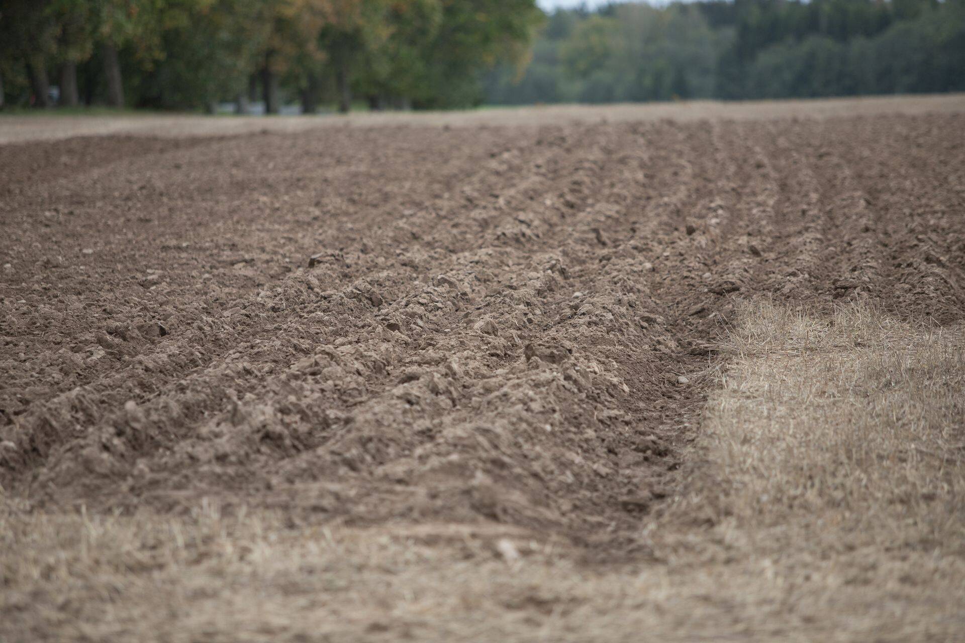 PRIA начнет прием ходатайств об аграрных субсидиях