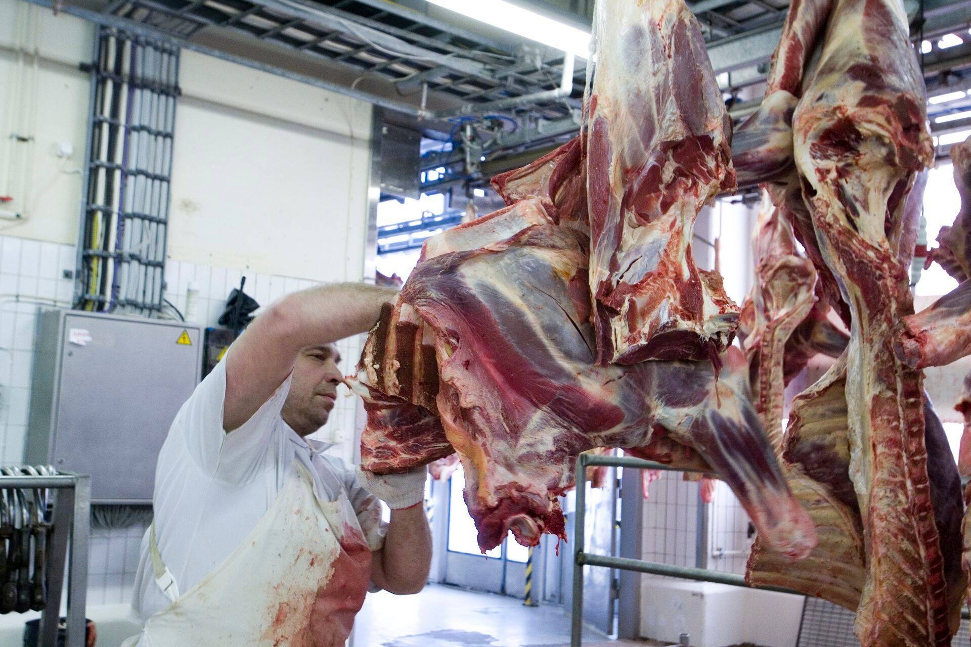 На скотобойне Раквереского мясокомбината бастует половина работников