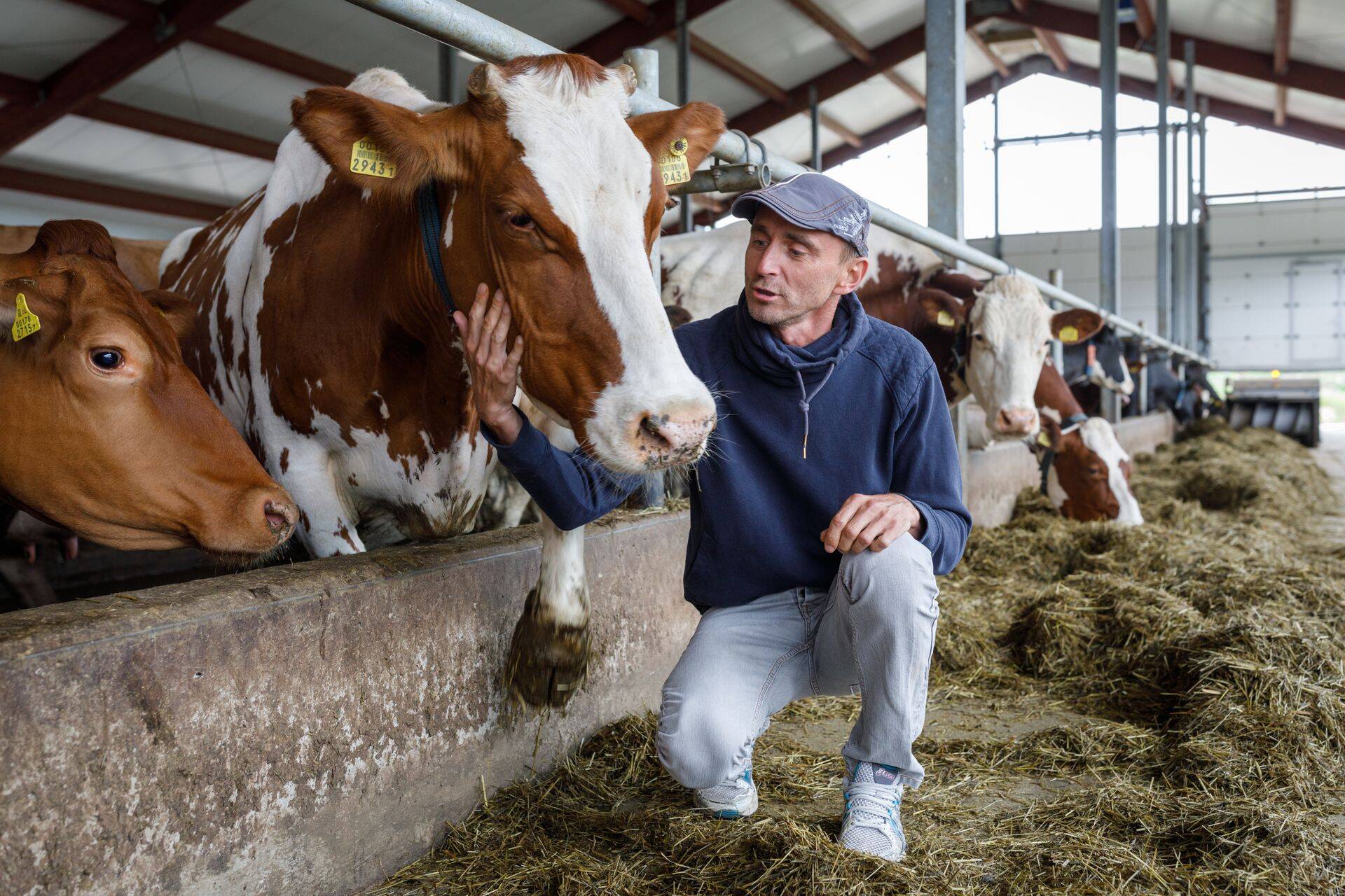 Muraka Farm juhatuse liige ja omanik Karmo Männik.