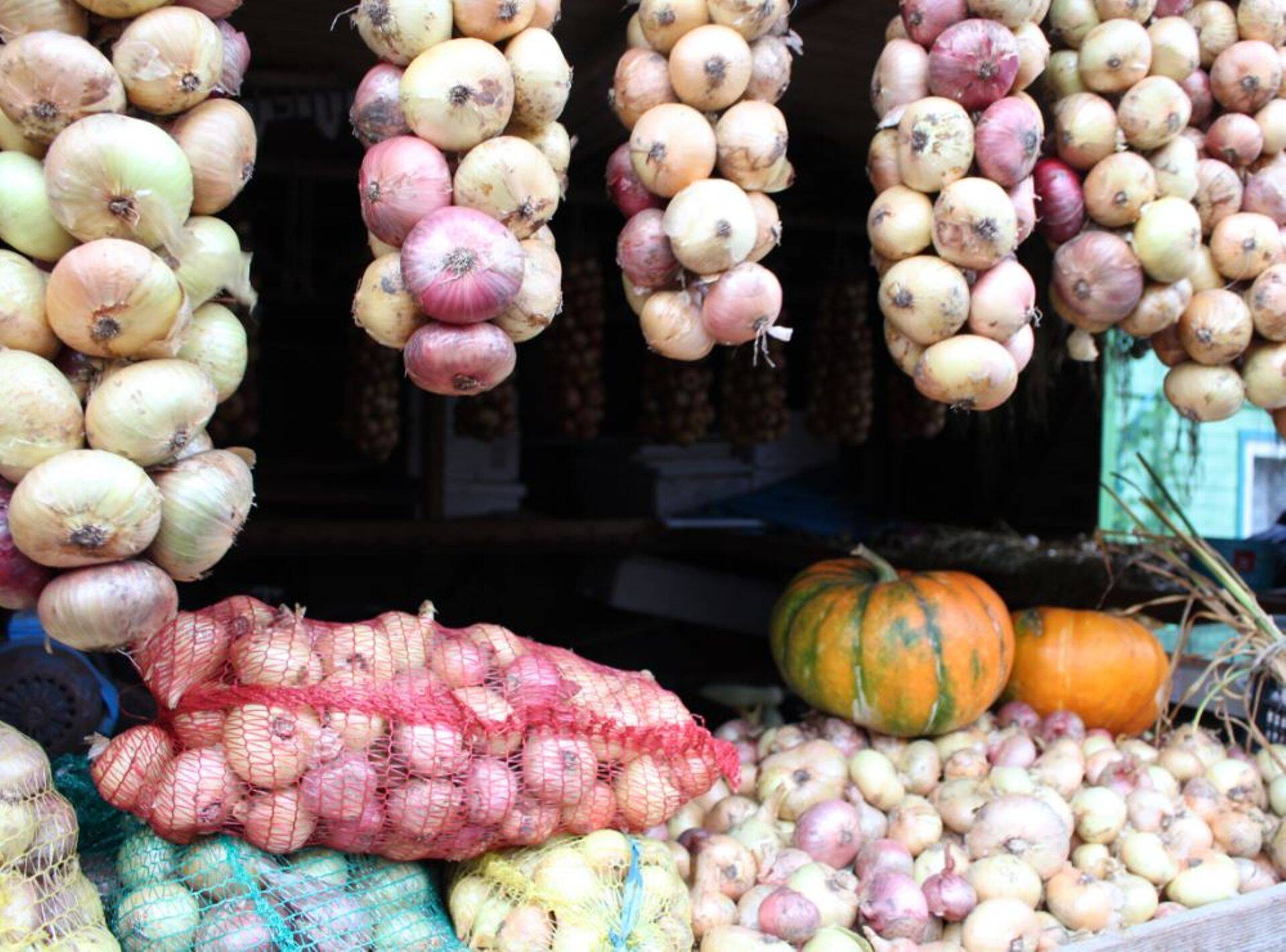 16. septembril on Sibulatee puhvetite päev