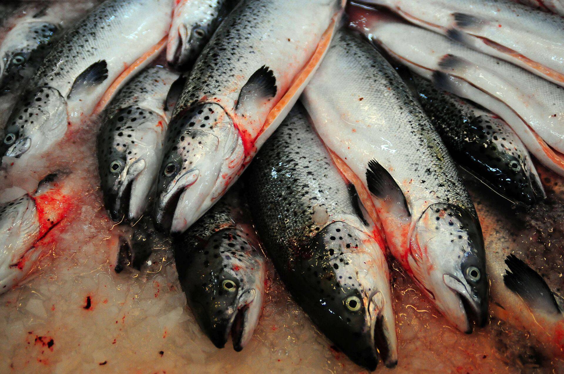 Suurima kaotajana üllatas sel kuul Norra kalatootja Leroy Seafood, mis viis portfellist ligi 12 000 eurot.