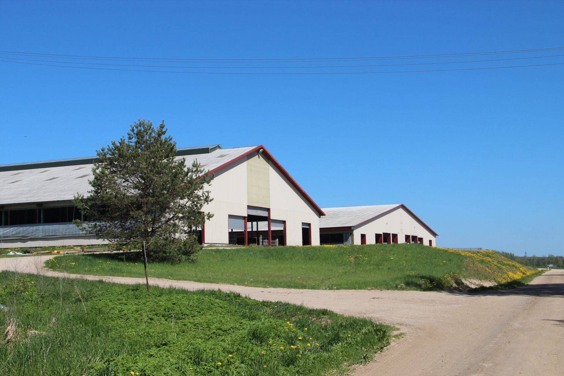 Ekso Farmile kuuluv Vapa laut, mis oli skeemi haaratud.