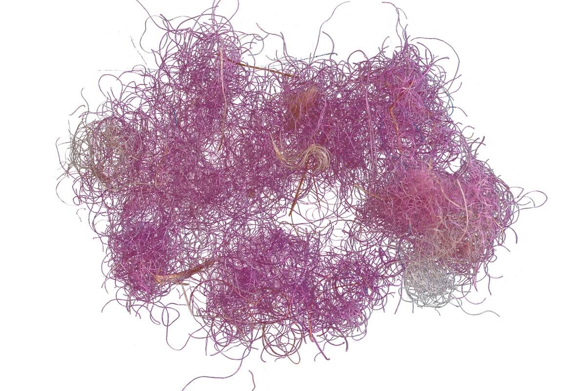 © Dafna Gazit, Israel Antiquities Authority