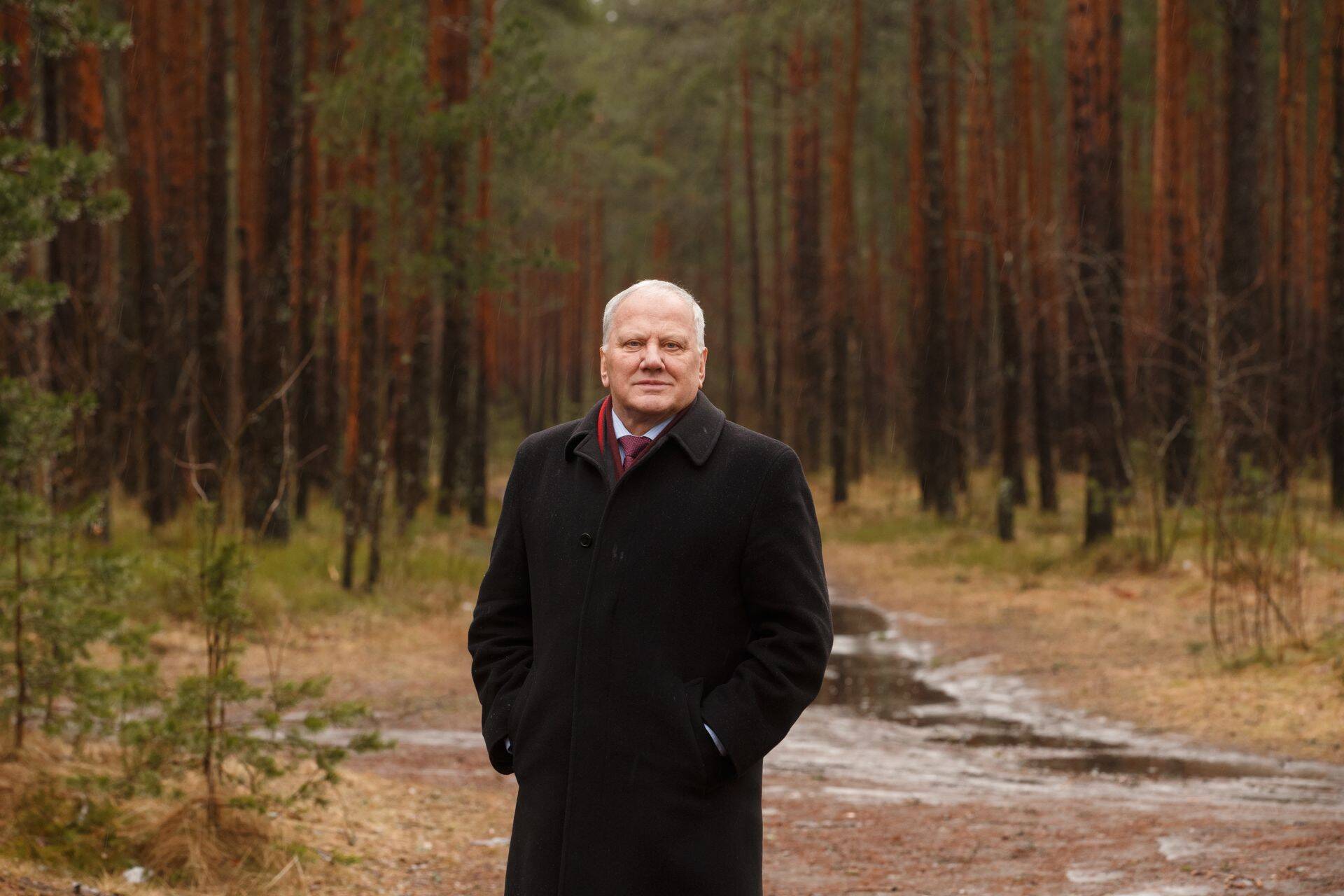 Viimastel aastatel on Toivo Asmer keskendunud paljuski puidu- ja metsatööstusele.