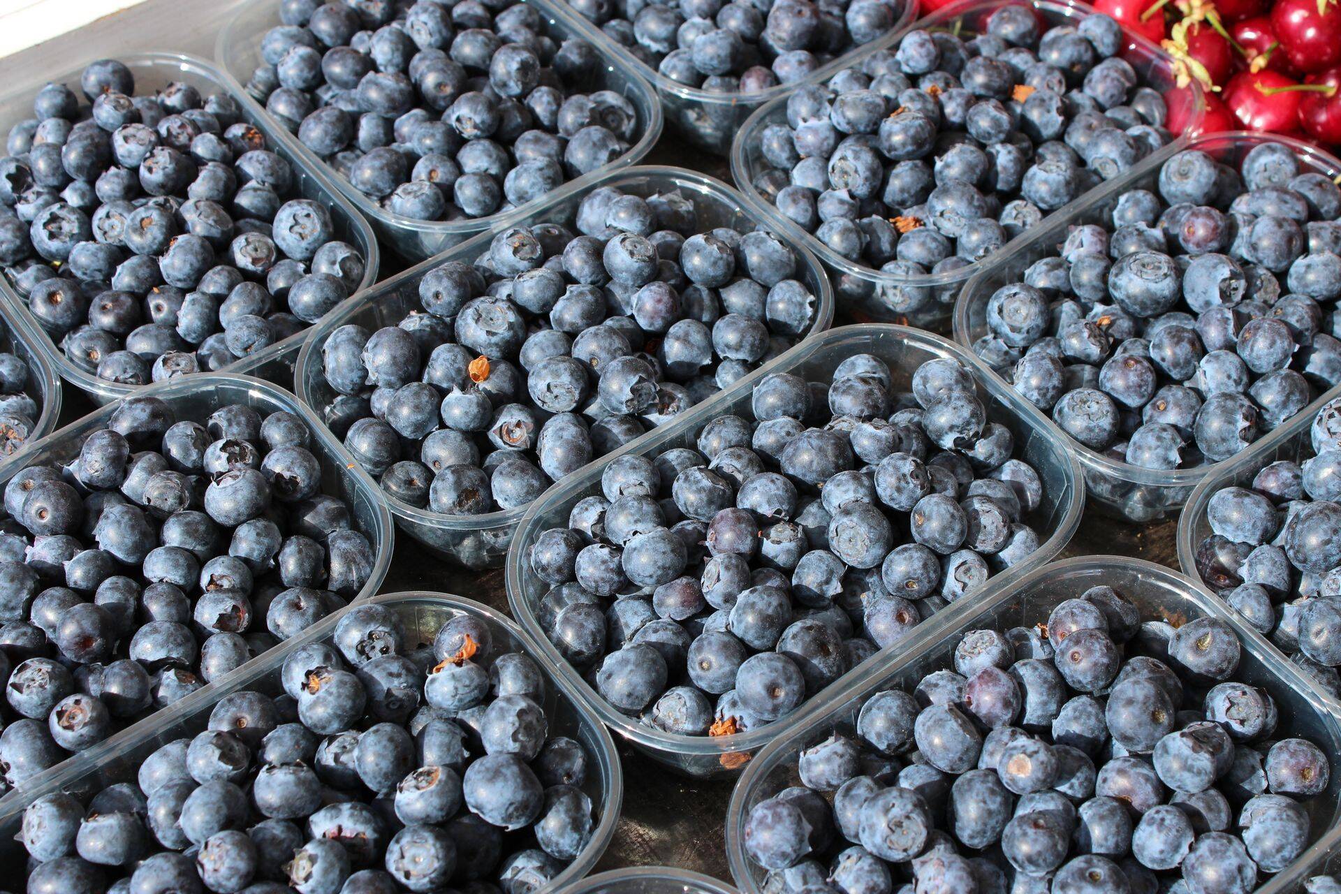 Maaeluminister tegi ettepaneku toiduekspordi nõukoja moodustamiseks