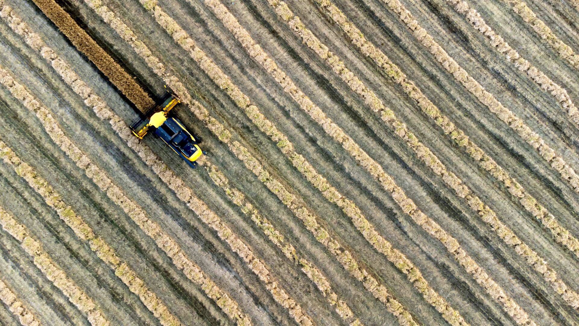 Investoru kalendārs augusta pirmajai nedēļai