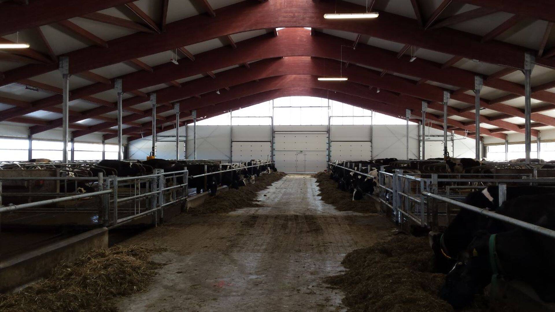 Uus farm 300le loomale