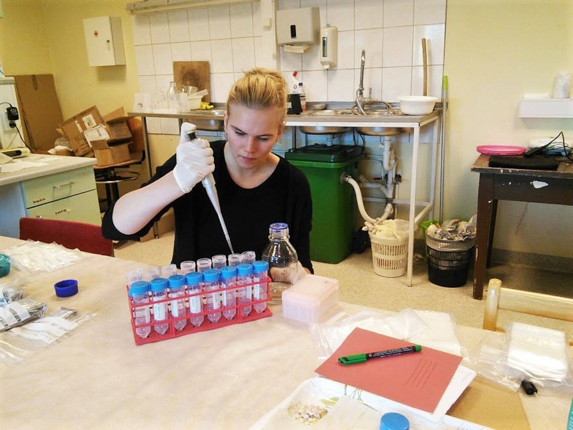 Magistritöö autor Epp Maria Lillipuu biopreparaate katseks ettevalmistamas.