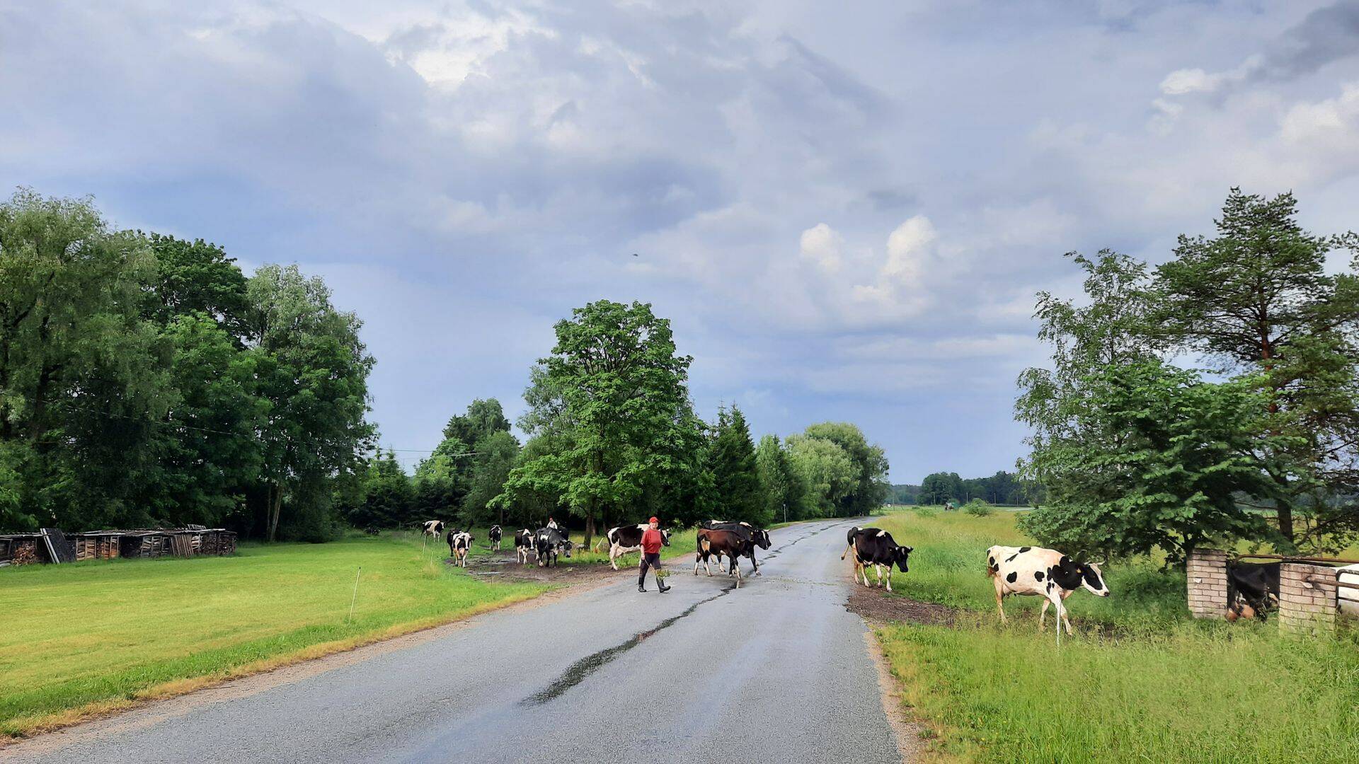 Olgu plaanid millised iganes, loomad vajavad ikka hoolt.