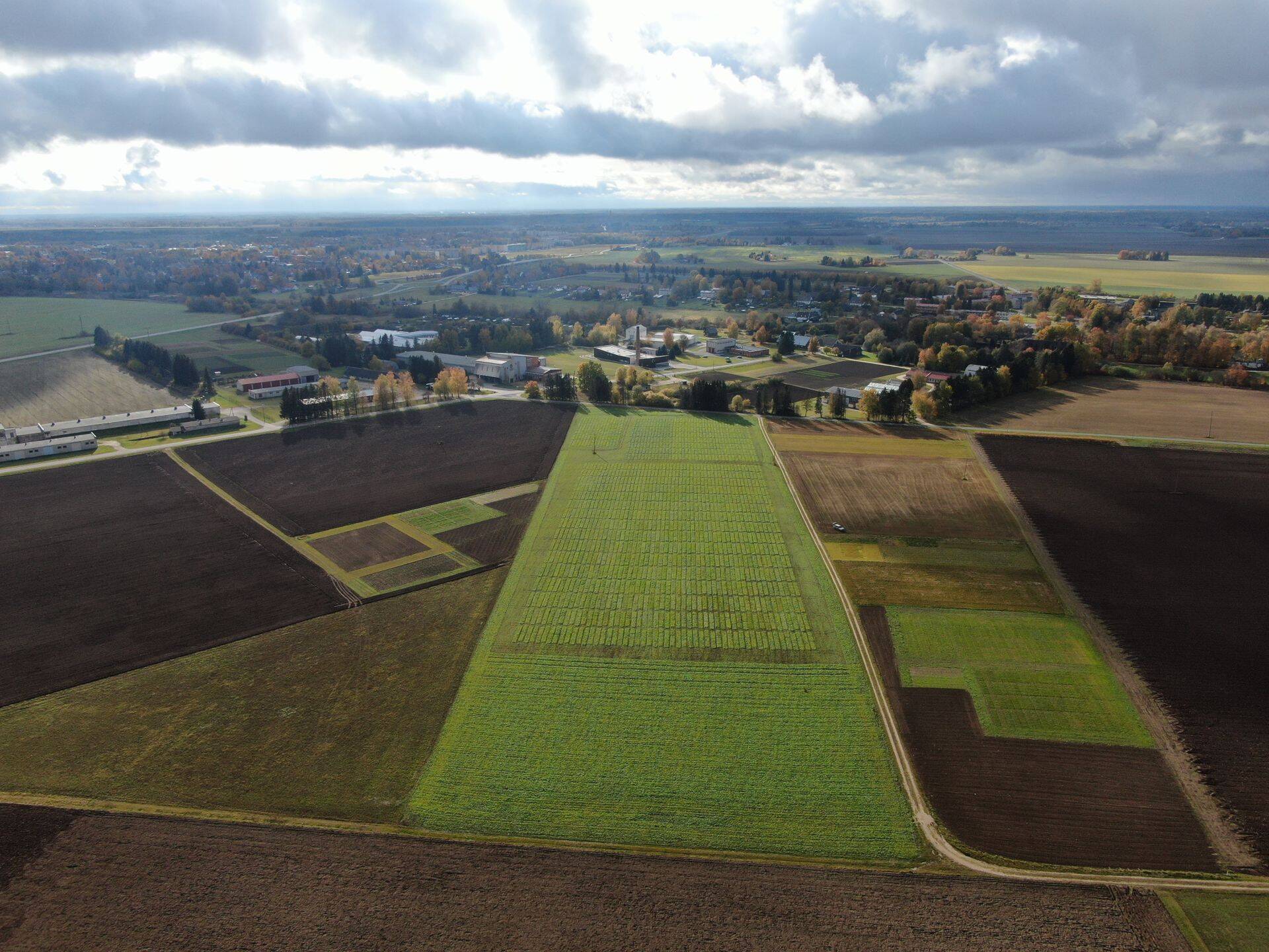 Eesti Taimekasvatuse Instituudi katsepõllud linnulennult.