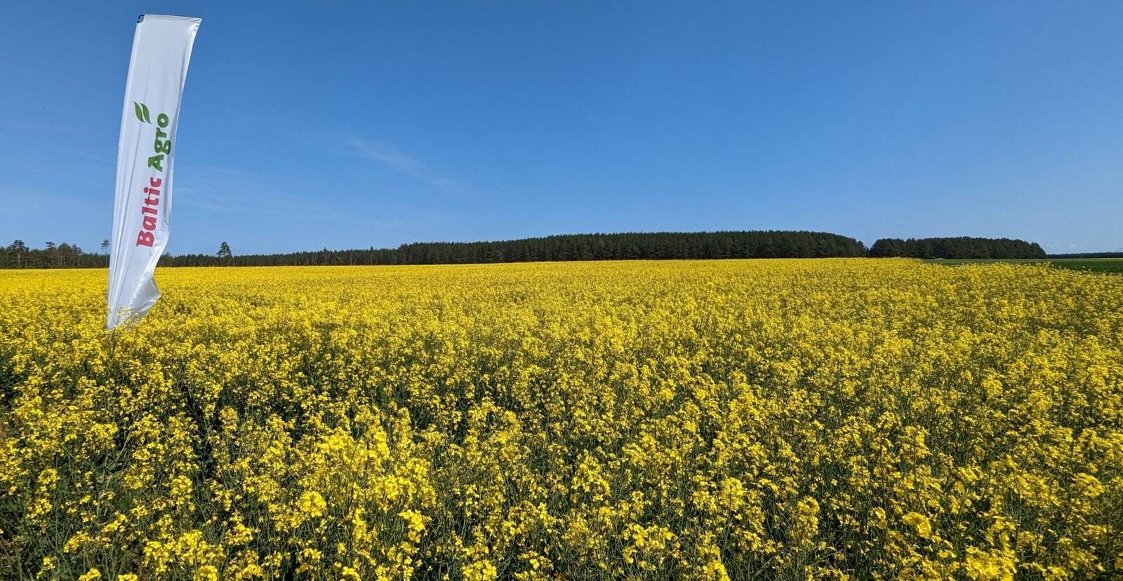 Baltic Agro jagab stipendiume.