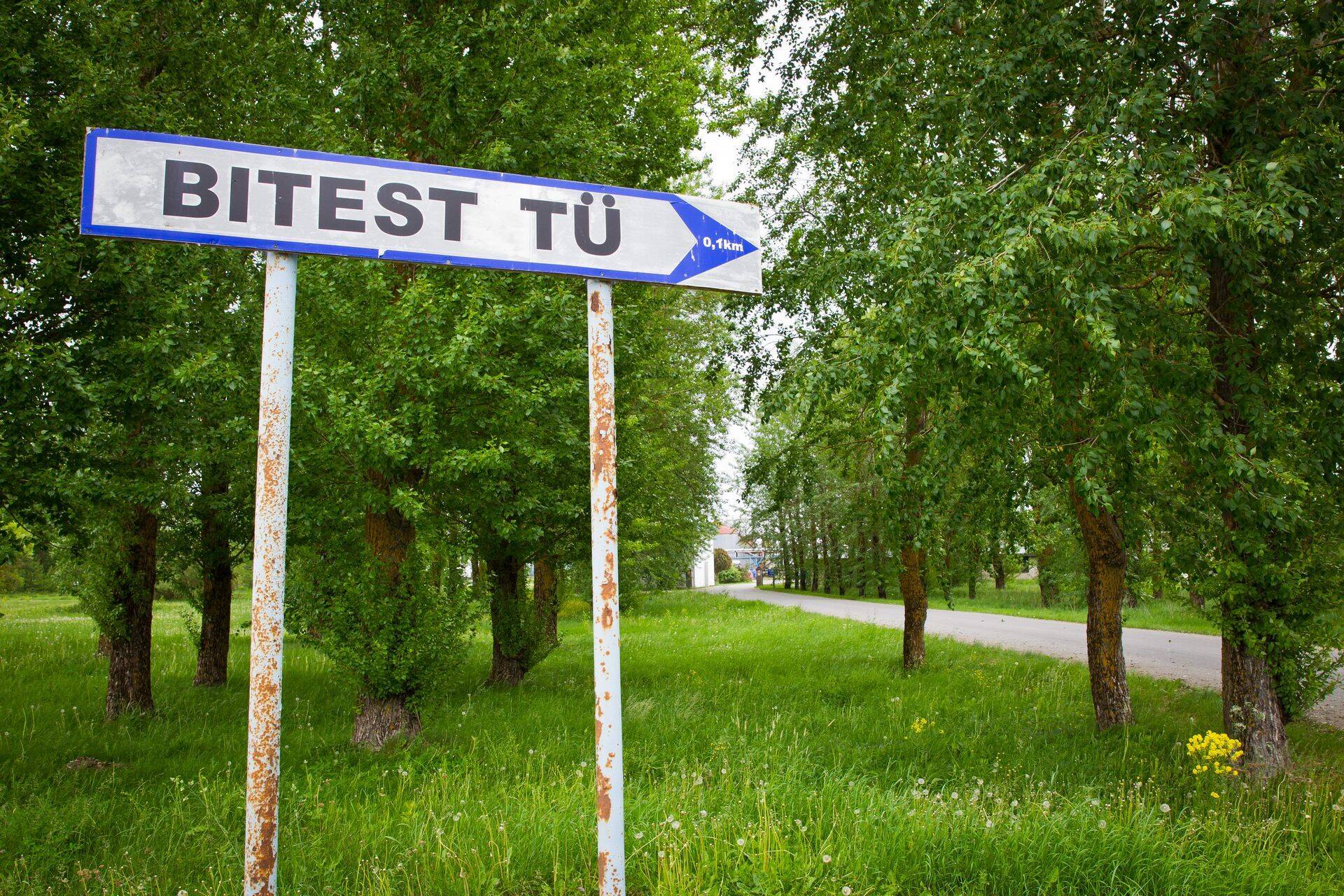 Bitest TÜ maksuvõlg on alates 2013. aastast 1,3 miljonit, see on märtsi seisuga Eesti neljas suurim maksuvõlg.