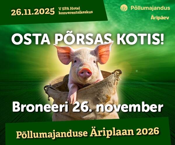 Põllumajanduse Äriplaan 2026: “Osta põrsas kotis” soodushind kehtib vaid pühapäevani!