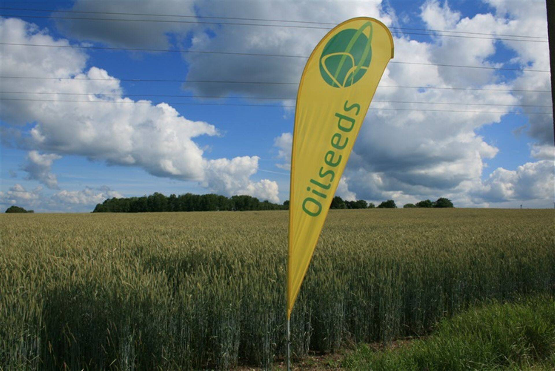 Oilseeds Agro põllupäevad Savikotis.