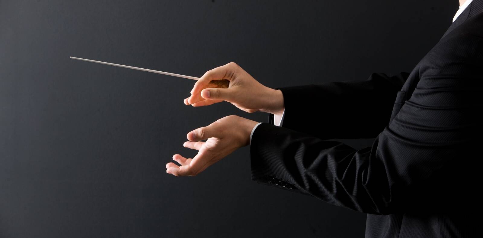 dirigendikepp, dirigendi käed