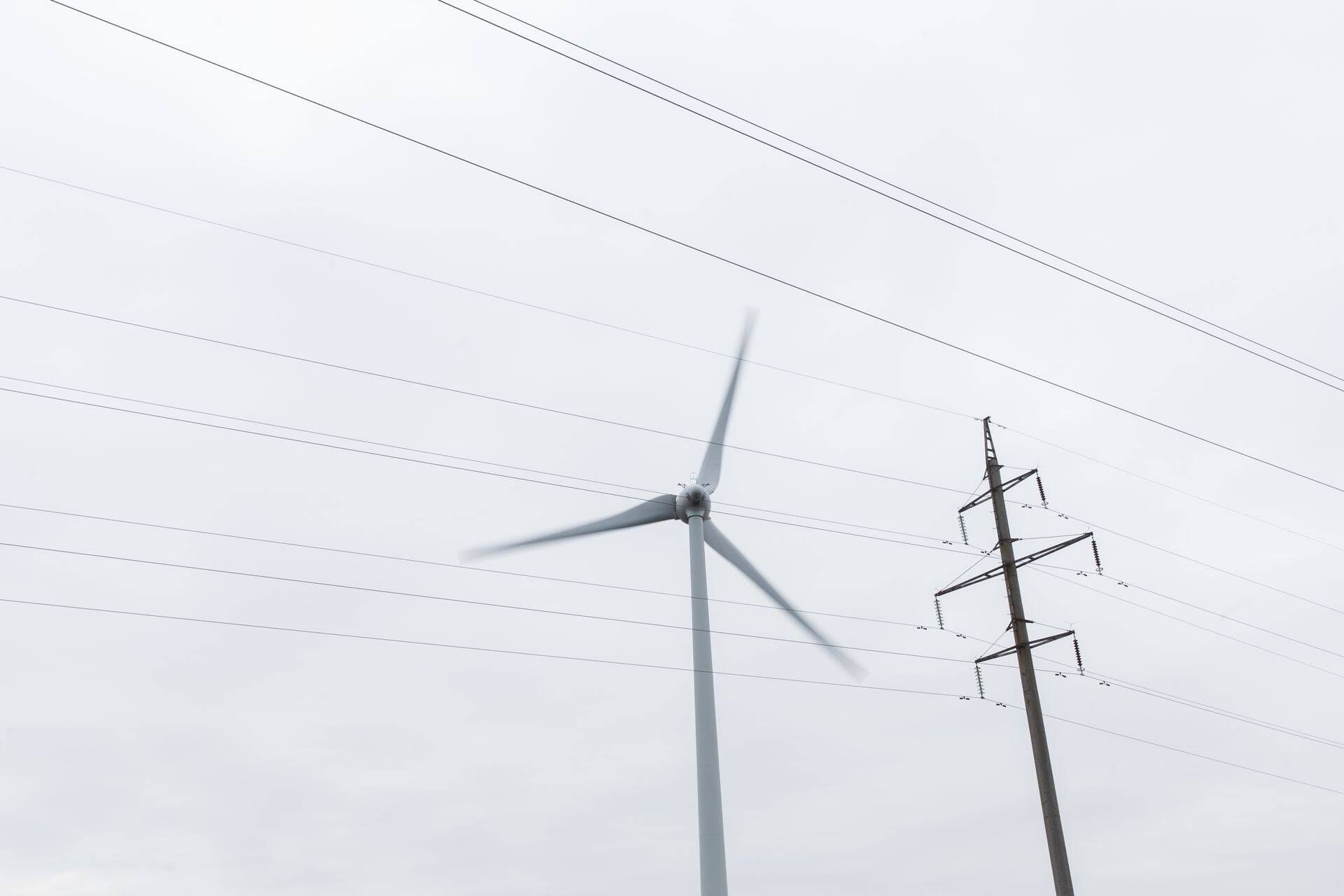 Tuuleenergia tootmine surenes aastaga 73 protsenti.