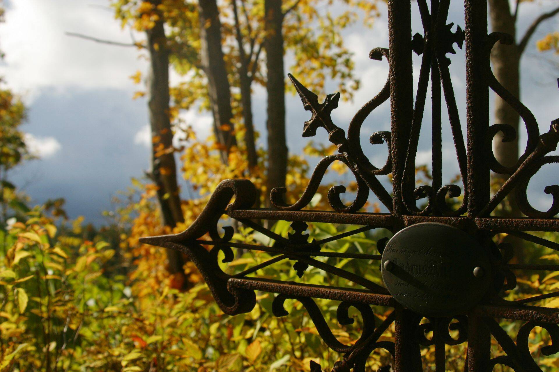 Iga viiendat surmajuhtumit peab Tervise Arengu Instituut enneaegseks.