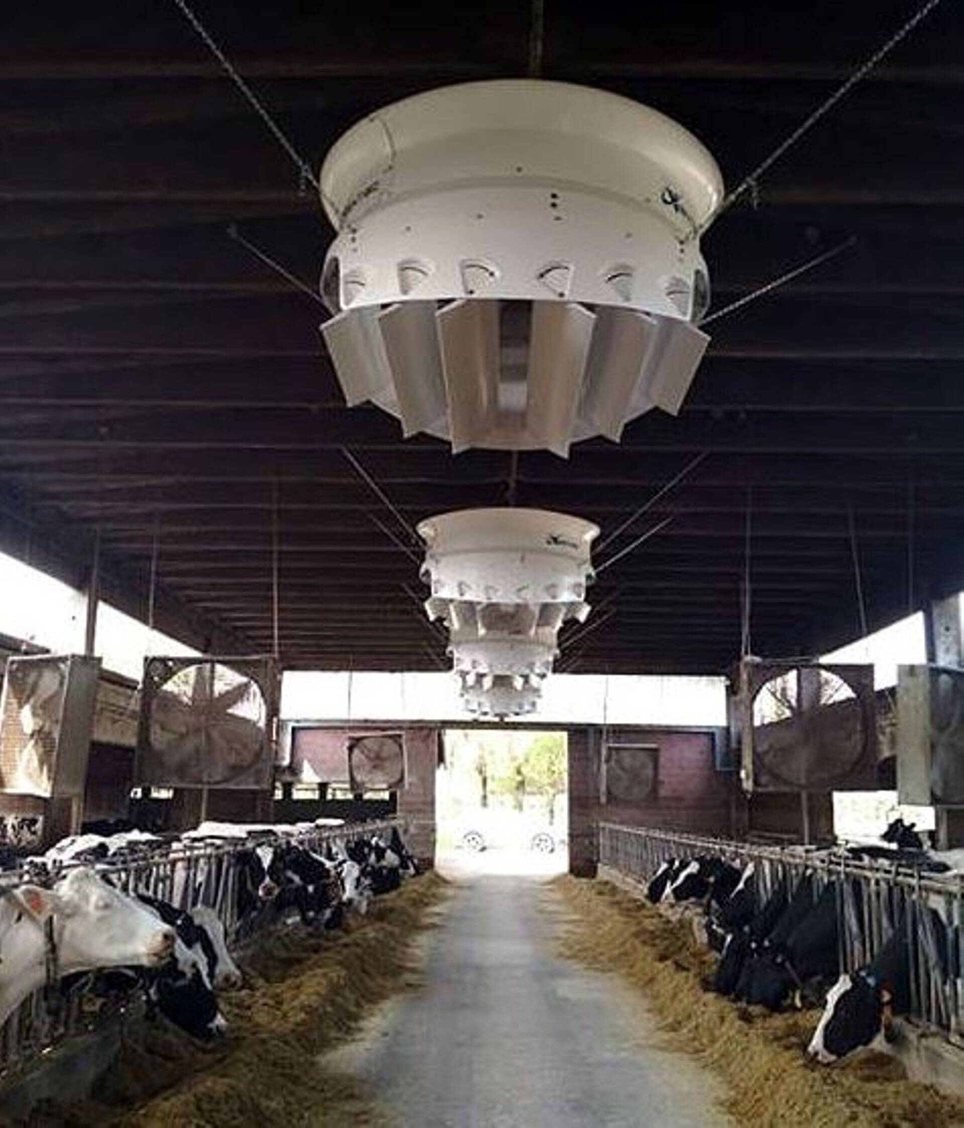 CYCLONE ventilaatorid.
