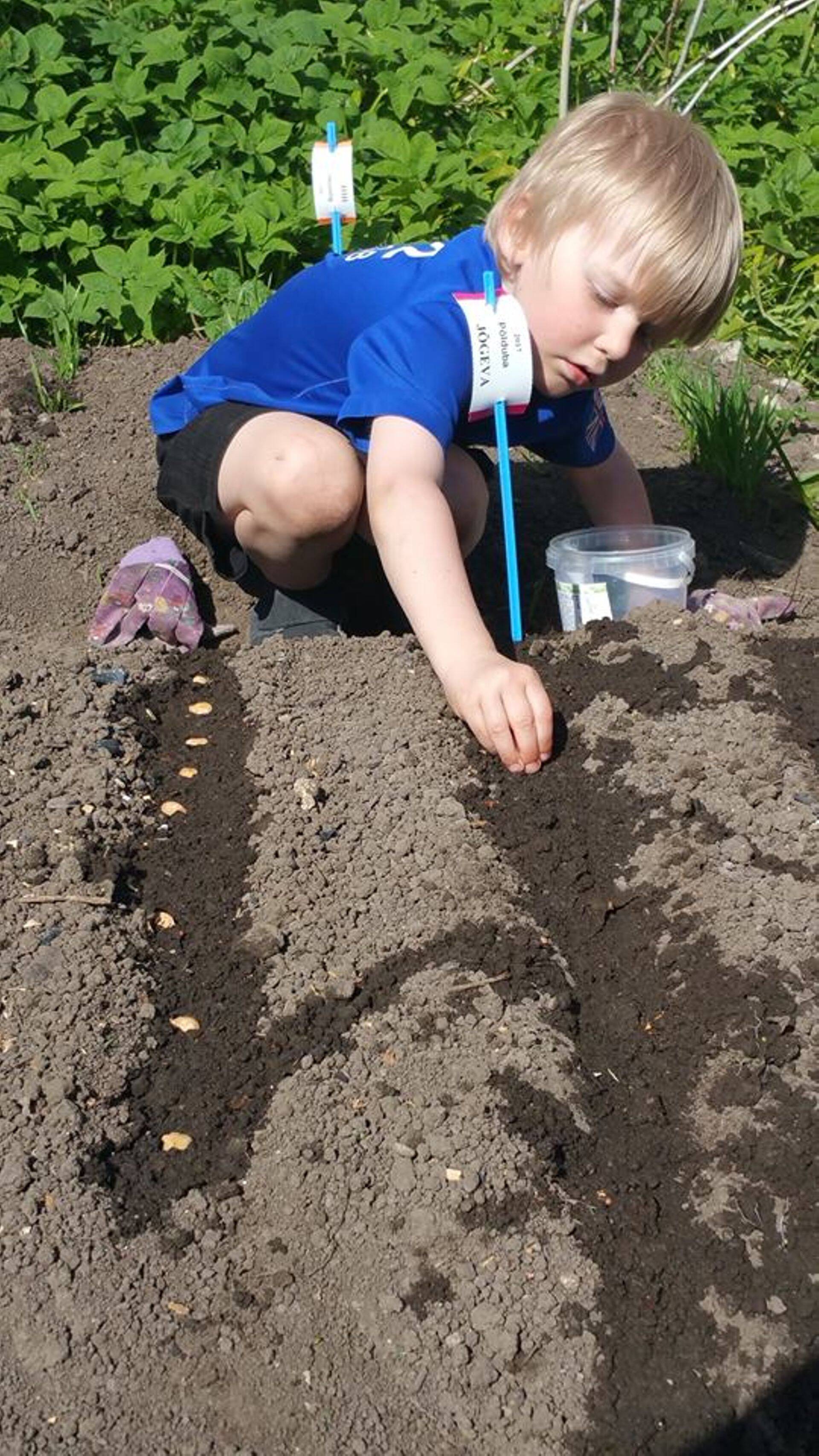 Peenrarajamisest tundsd rõõmu eelkõige lapsed