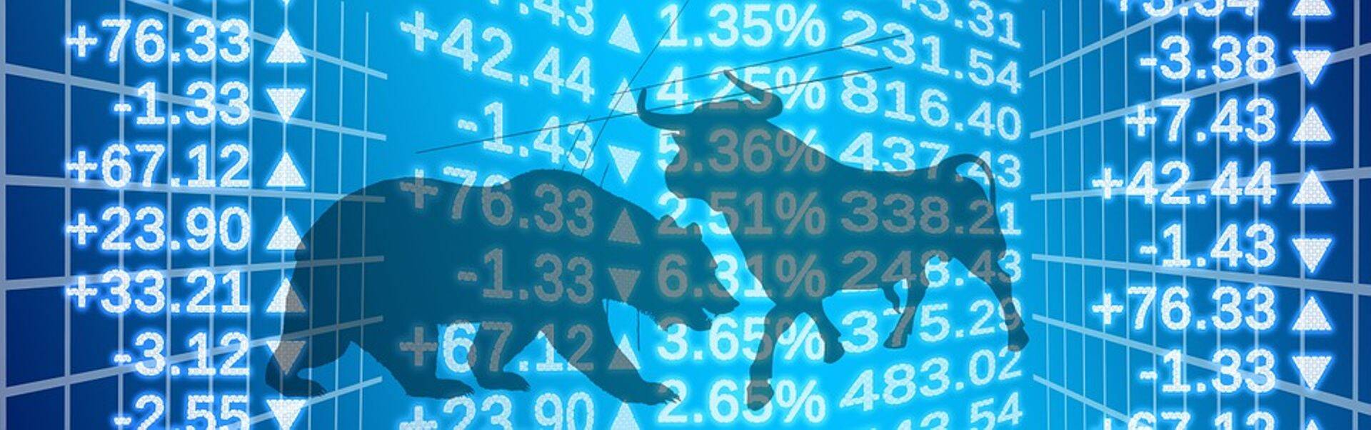 Быки и медведи на рынке акций