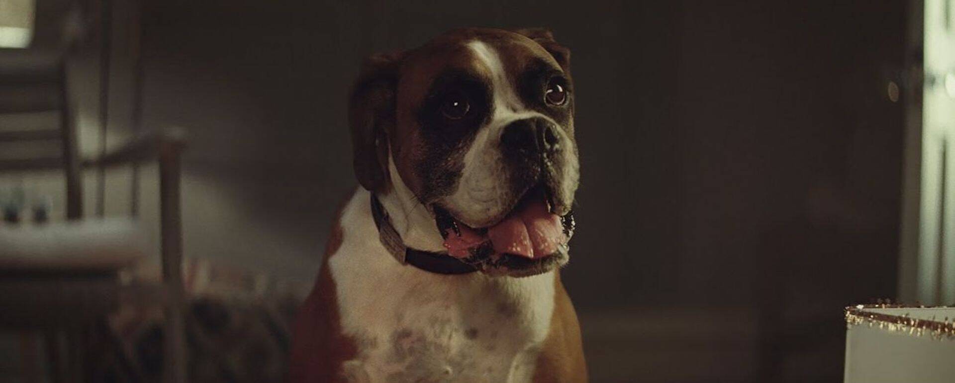 Kaader John Lewise jõulureklaamist