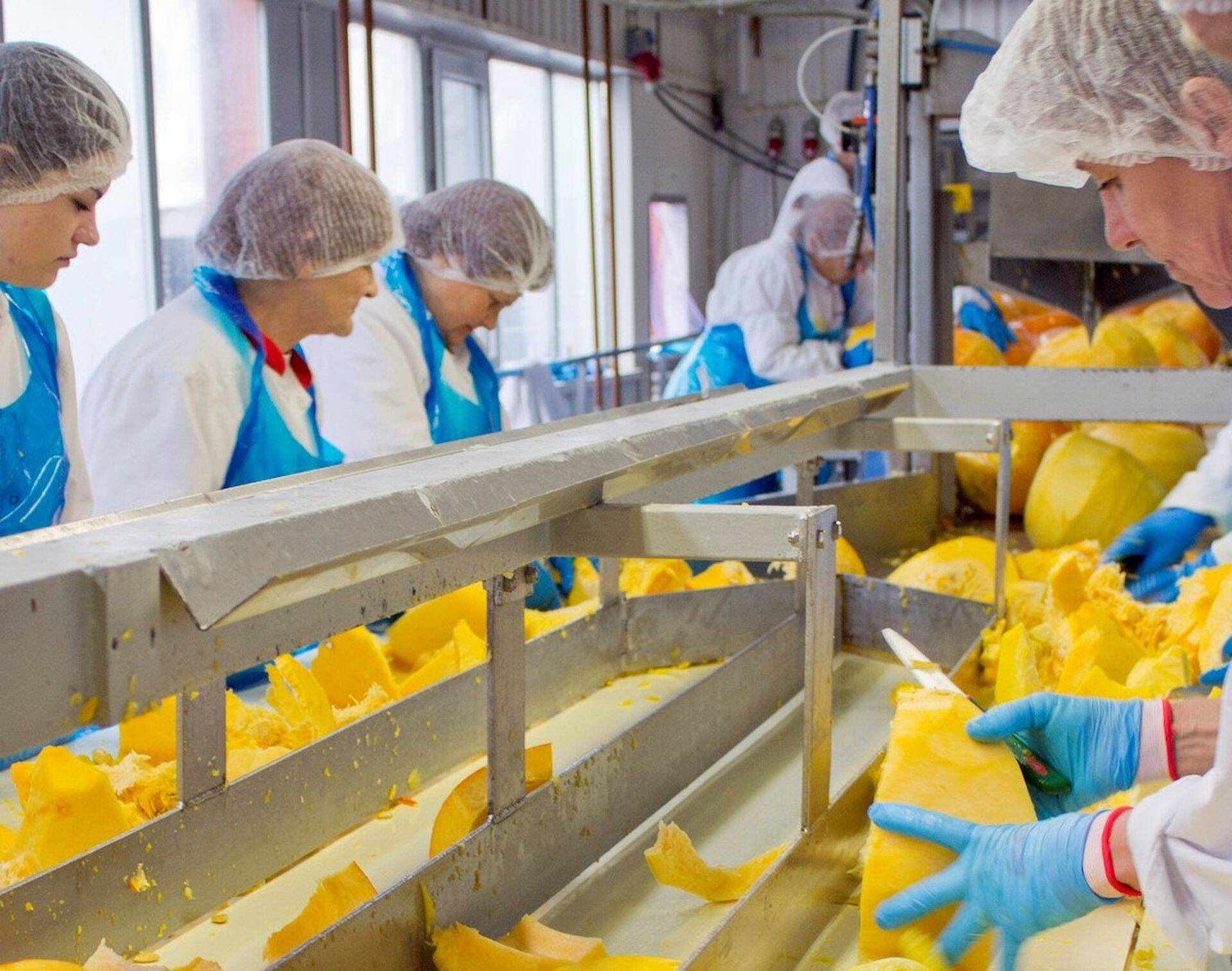 Orkla Põltsamaa tehas paneb tänavu purki 3500 tonni kodumaist köögivilja