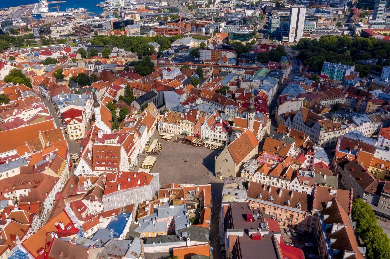 Eesti on saavutanud häid tulemusi digitaalse infrastruktuuri arendamisel, startup-kultuuri kujundamisel ning rahvusvahelise koostöö toetamisel.