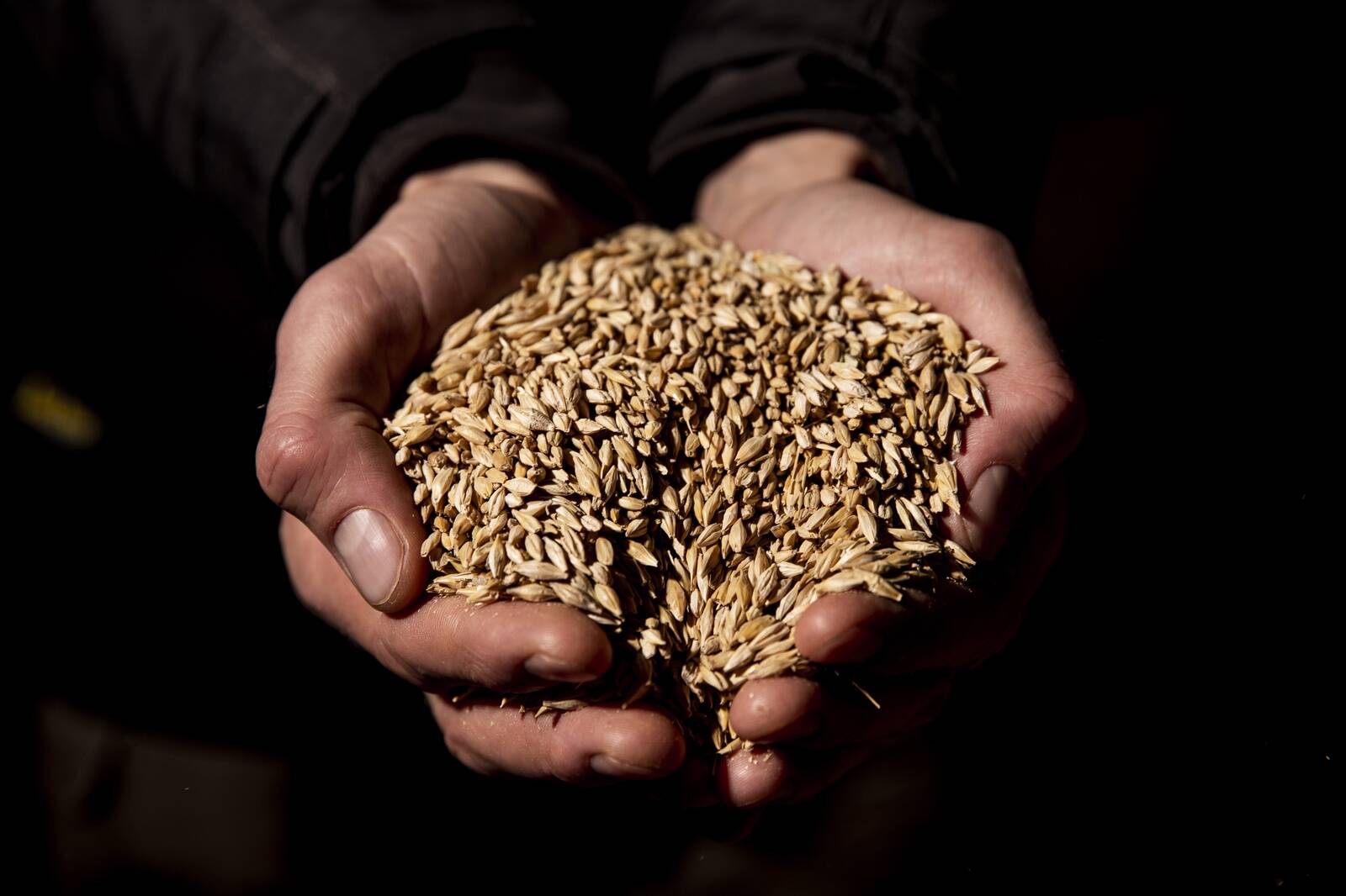 Mahesektori esindajad on seda meelt, et riigipoolne nägemus sektori arengust aitaks luua pikaajalist strateegiat.