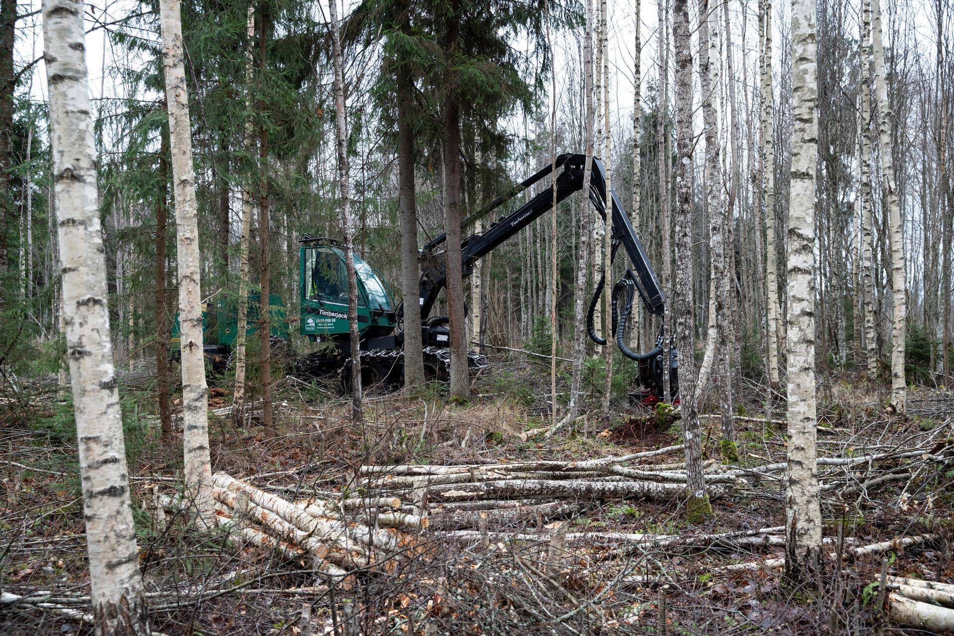Metsaomanikele on asi veel uus, paljud pole kuulnudki, et metsast tulu saamiseks ei pea masinaid metsa maha võtma saatma.