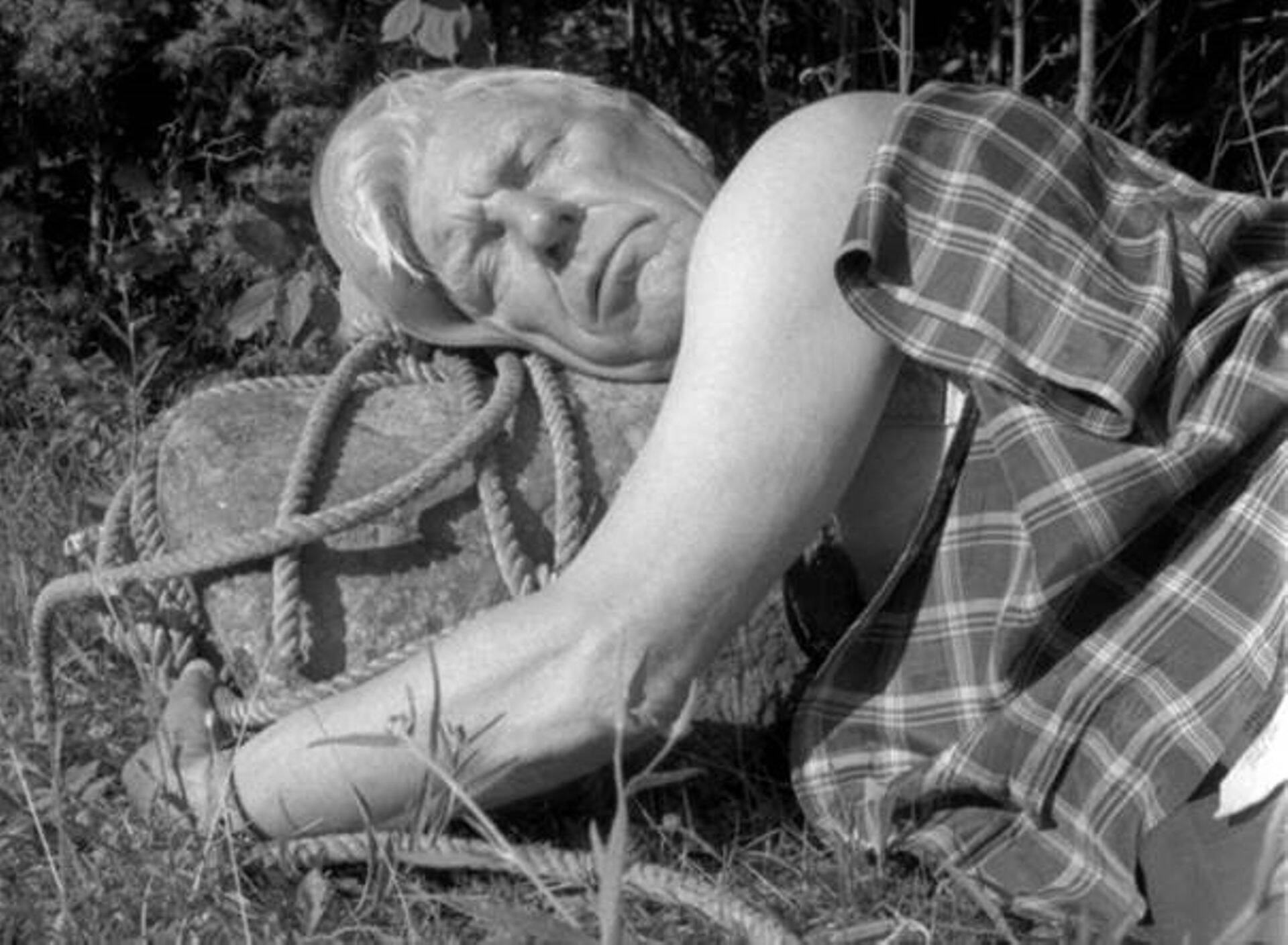 Seltsimehed, paigal seismine on, igatahes, tagasiminek, selle pärast, seltsimehed, tegutsegem.