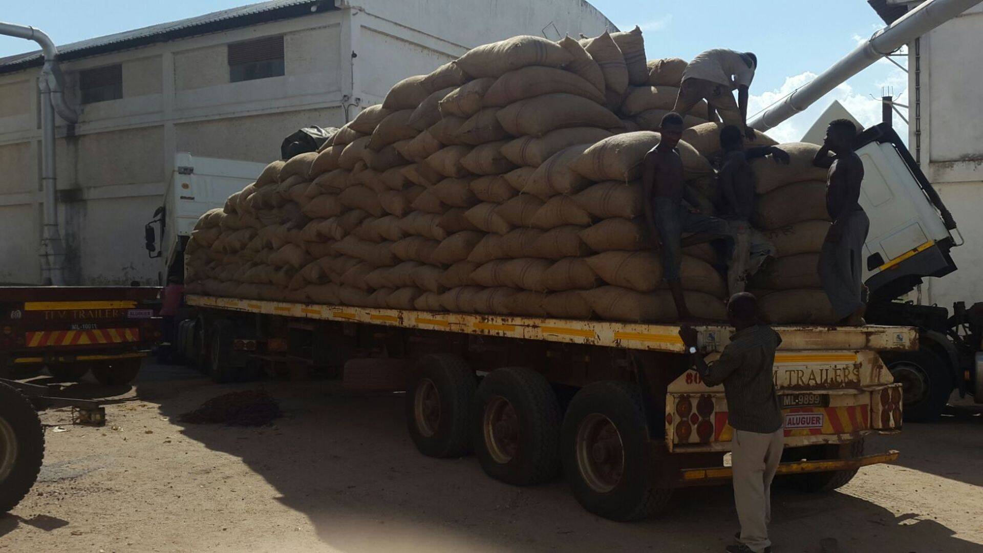 Muuseas pakutakse Mosambiigis ka logistikateenust. Pildil on laadungiks 28 tonni india pähkleid.