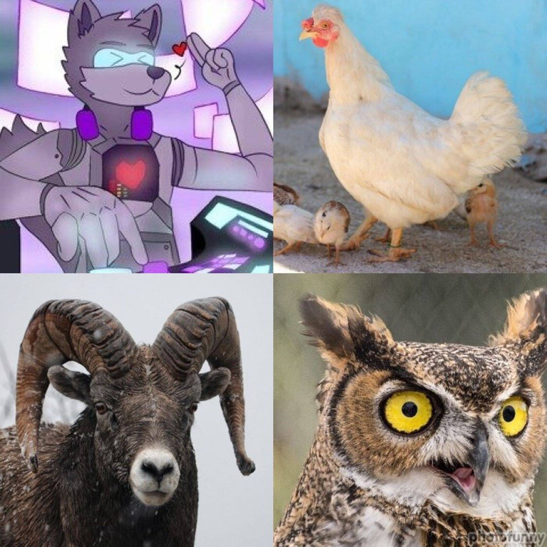 Juhitüübid (vasakult ülevalt): Tehnohunt, Kanaema, Juhtoinas ja Öökull. Kes tuleb millisest ülikoolist?