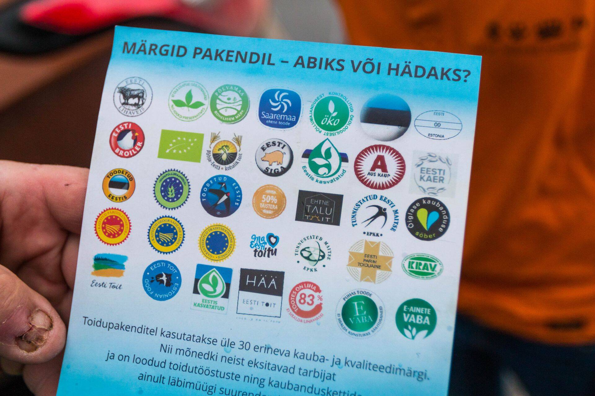 Valgamaa ettevõtja Kaupo Kutsar on Eesti lipu märgi statuudi pärast käinud ka riigikogus muret kurtmas.