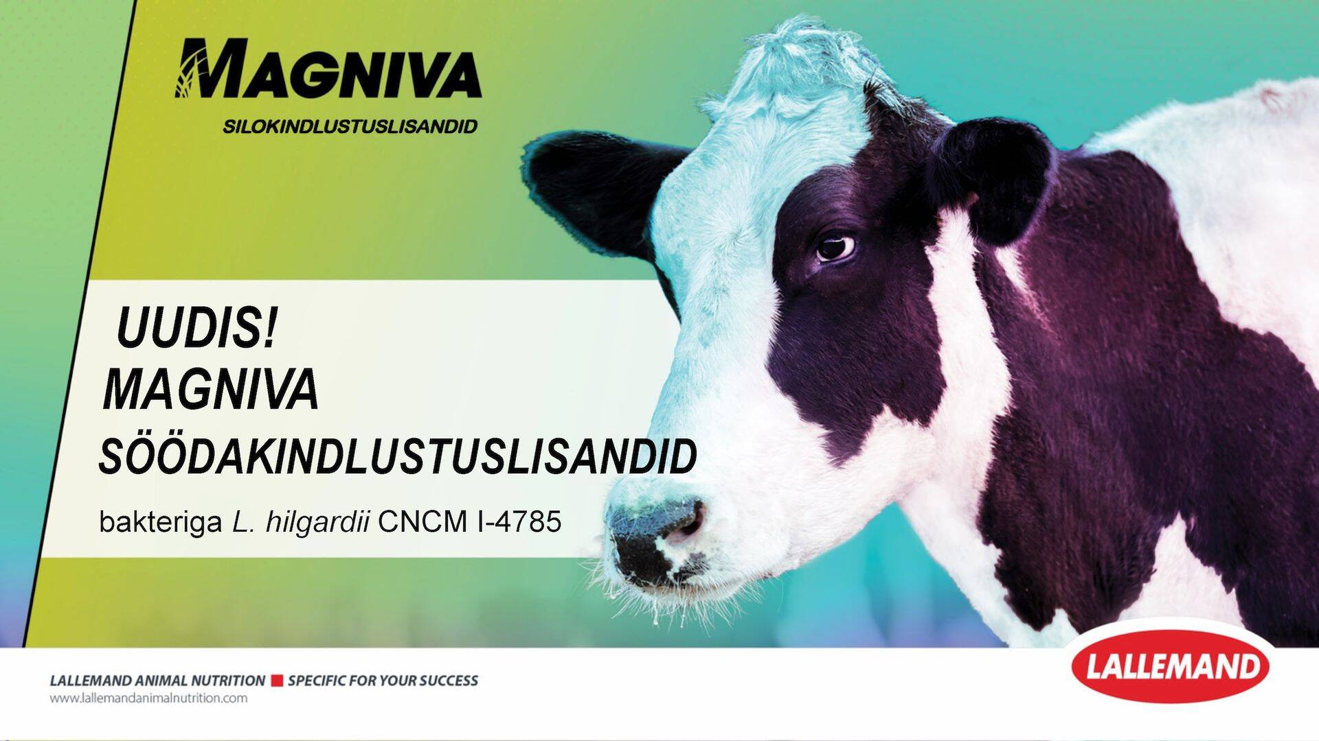 Lallemand otsustas seniste silokindlustuslisandite Sil-All, Lalsil ja Biotal asemele tuua turule uued tooted kaubamärgi MAGNIVA all.