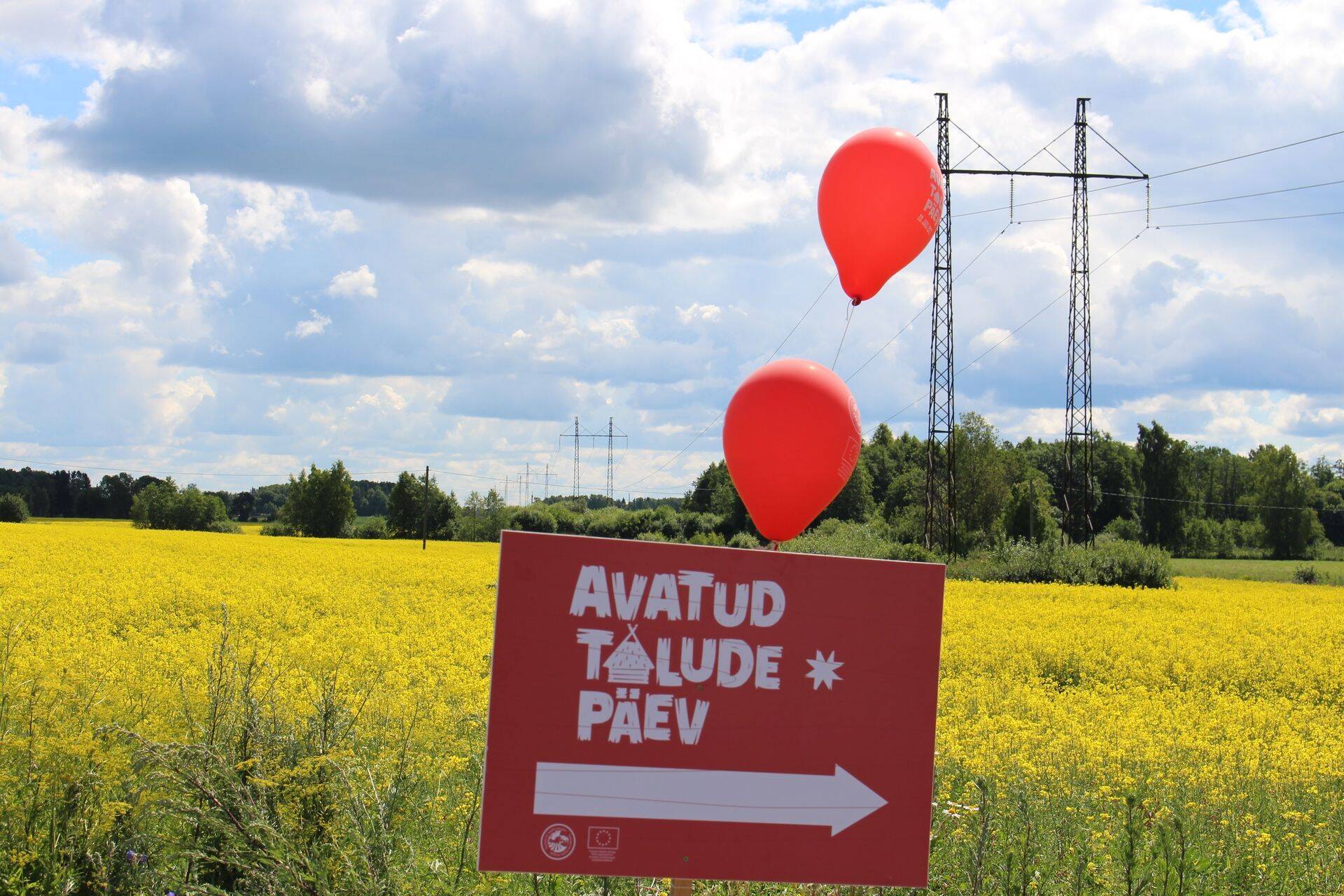 „Bussireiside kavandamisel ja talude valimisel oleme lähtunud sellest, et saaksime reisiseltskonnale pakkuda võimalikult mitmekülgset pilti Eesti talupidamistest. Bussireisidele ootame registreerima kõiki, kes sooviksid saada osa avatud talude päevast läbi põnevate reisikavade,“ sõnas Eestimaa Talupidajate Keskliidu juhatuse liige Kerli Ats.
Eesti Põllumajandus-Kaubanduskoja juhatuse liige Vahur Tõnissoo kutsub avatud talude päeval uurima põllumeestelt, kuidas kaasajal taimi ja loomi kasvatatakse. „Eesti inimeste kokkupuude põllumajandusega on jäänud aasta-aastalt üha nõrgemaks ja see on väetis müütidele ning väärarusaamadele. Eesti põllumees on alati hoidnud külalistele väravad lahti ja on ikka valmis selgitama, kuidas kasvatatakse vilja ja karja ning miks tuleb põldudel ravida taimi ja tõrjuda kahjureid.“
22. juulil kell 08.30 väljub Tallinnast Ülemiste parklast buss Jõgevamaale (52 kohta), kell 09.00 venekeelne buss Pärnumaale (48 kohta), kell 09.30 Rapla- ja Pärnumaale ( 49 kohta) ja kell 10.00 Järvamaale ja Lääne-Virumaale (47 kohta) ning Raplamaale (48 kohta). Kell 08.30 väljub Tartust Lõunakeskuse parklast buss Valgamaale (49 kohta). Kell 10.00 väljub Rakverest AQVA keskuse parklast buss Lääne-Virumaale (43 kohta). Kell 10 väljub buss Pärnust Kaubamajaka parklast Pärnumaale (48 kohta).
Saaremaa bussireisid saavad alguse Kuressaare Noortekeskuse eest, aadressil Pihtla 3, Kuressaare. Bussid väljuvad kell 9.45 (Mustjala Mustard, Andruse mahe- ja turismitalu, Orbu talu Kadakakoda, Saare Ubin, 28 kohta) ja kell 10.00 (Riido Ökotalu, Koplimäe Mahetalu, Tihuse Hobuturismitalu, Ideafarm, 29 kohta ning Pihtla õlleköök, Kõljala Põllumajandusühistu, GoodKaarma Seebikoda, Uustla Ökotalu, Saksa Talupood, 31 kohta).
Bussireisidele registreerumine algab 12. juulil kell 12 veebilehel www.avatudtalud.ee. Sealt leiab ka busside täpsed marsruudid. Korraga on võimalik saada neli tasuta piletit.
Hetkeseisuga osaleb 2018. aastal avatud talude päeval 296 talu ja põllumajandustootmist. Taludesse on võimalik kohale jõuda ka Elroni rongide ning ELMO Rent elektri-ja hübriidautodega. Tallu sõitmisel on abiks NaviCupi mobiilirakendus ning ülevaate taludest annab veebileht www.avatudtalud.ee ja paberkaart avatud talude päeval osalevate taludega. Paberkaardid on saadaval Alexela suuremates tanklapoodides, Rimi „Talu toidab” lettides, turismiinfopunktides ja Maaeluministeeriumi valvelauas.
Esimene avatud talude päev toimus 2015. aastal, kui oma uksed avas külastajatele 147 talu ja põllumajandustootmist ning taludesse tehti ligikaudu 45 000 külastust. 2016. aastal osales 234 talu ja tehti ligikaudu 85 000 külastust. 2017. aastal külastati 280 talu, põllumajandustootjat ja maaettevõtet üle 120 000 korra.