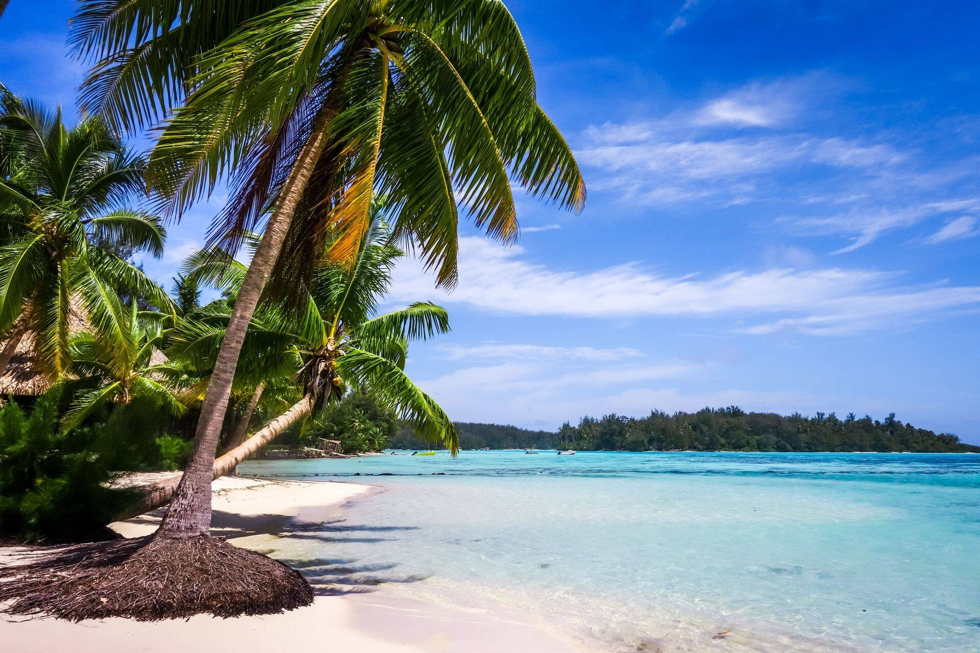 Paradiisisaar.