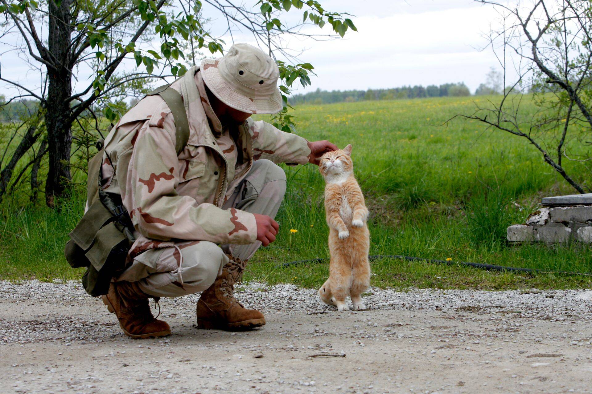 Esimest korda ületasid Eesti kaitsekulutused päriselt kahe protsendi piiri 2015. aastal.