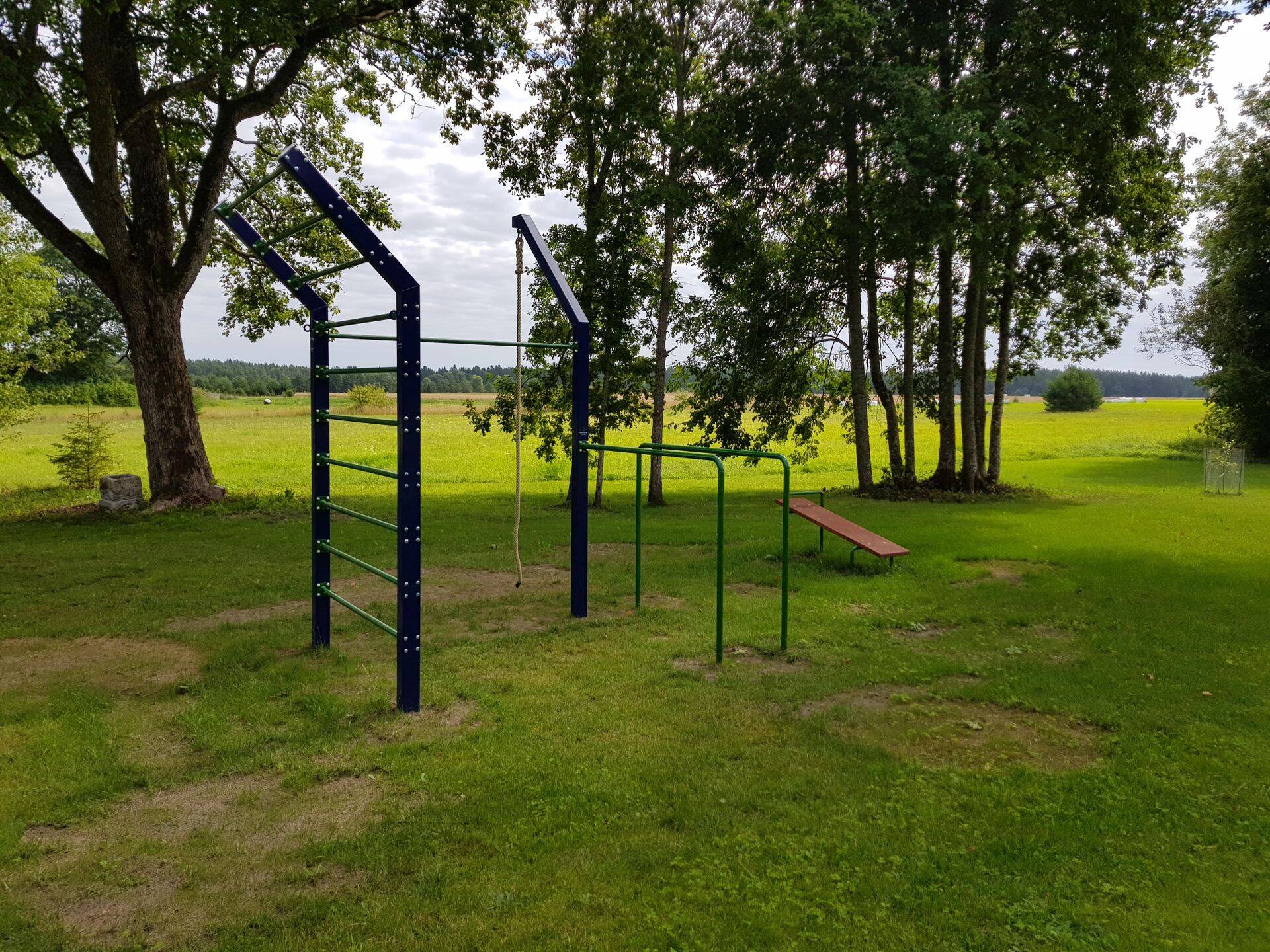 Koduhoovi jõulinnak, ca 45m2 (2017)