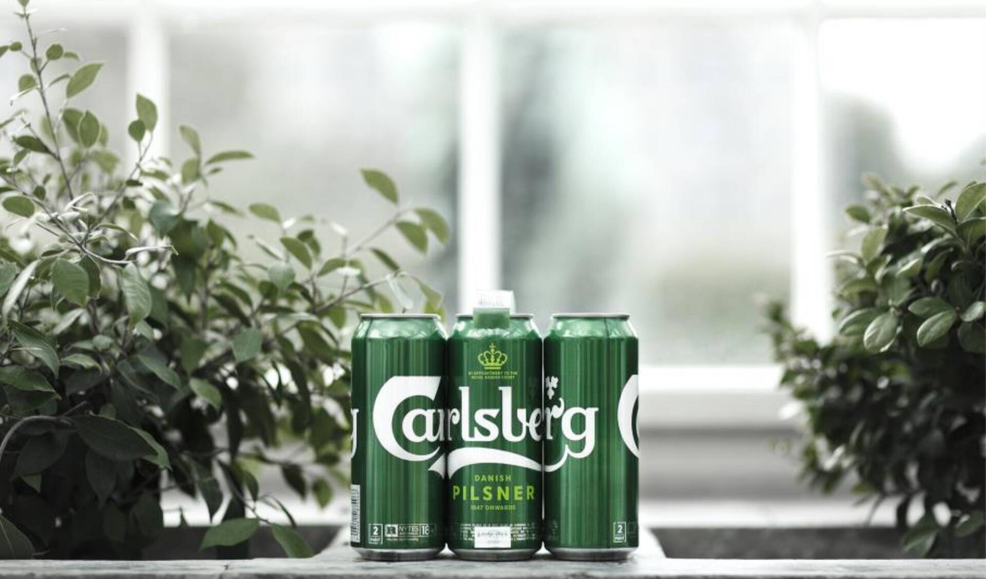 В марте на рынке появятся мульти-упаковки Carlsberg с креплением Snap Pack, где вместо привычного пластика бутылки держатся вместе на клеевом скреплении. Согласно подсчетам Carlsberg, с внедрением клеевого скрепления применение пластика по сравнению с нынешним объемом сократится на 76%.