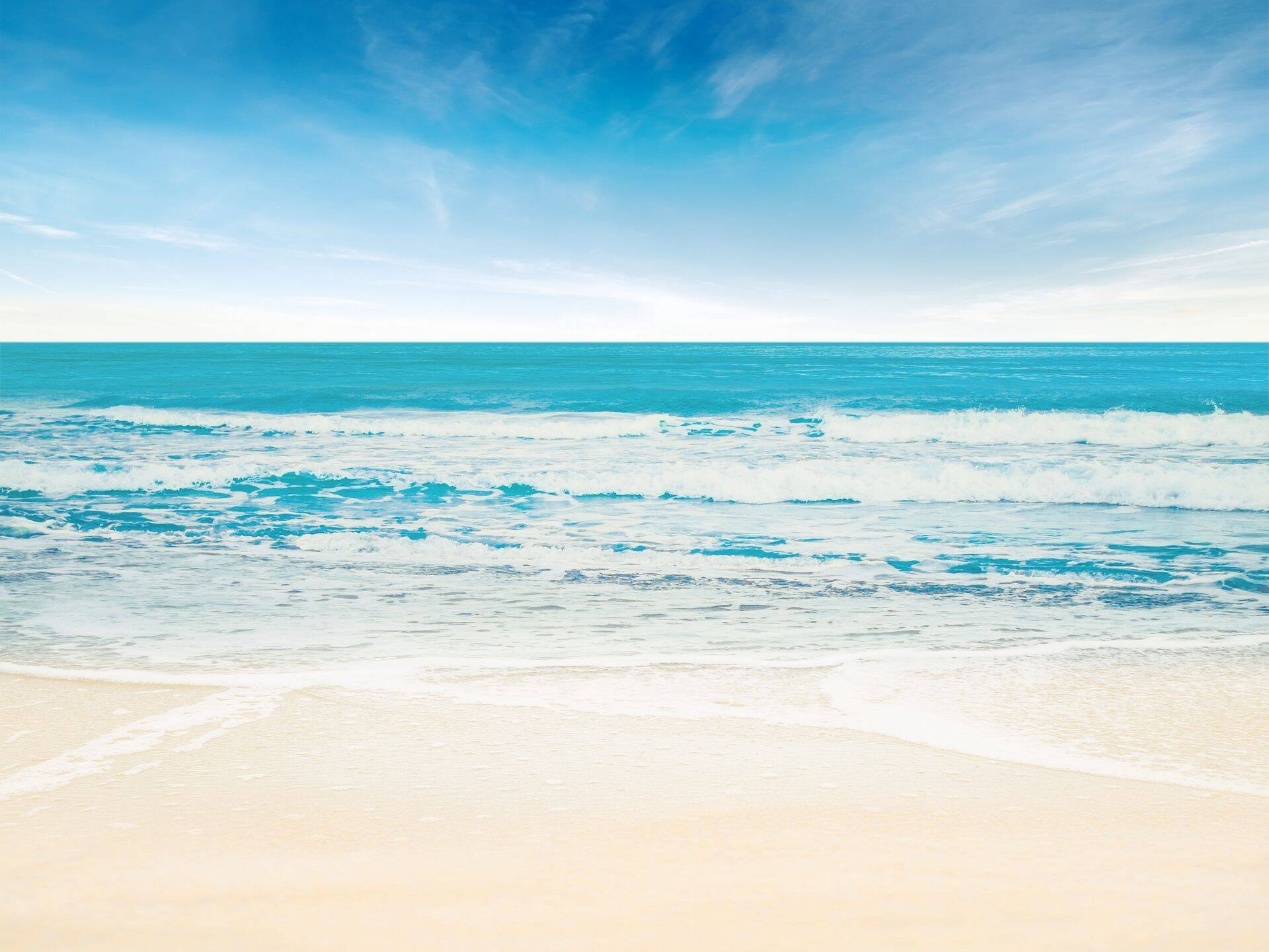 Оборот Novaturas успешно растет