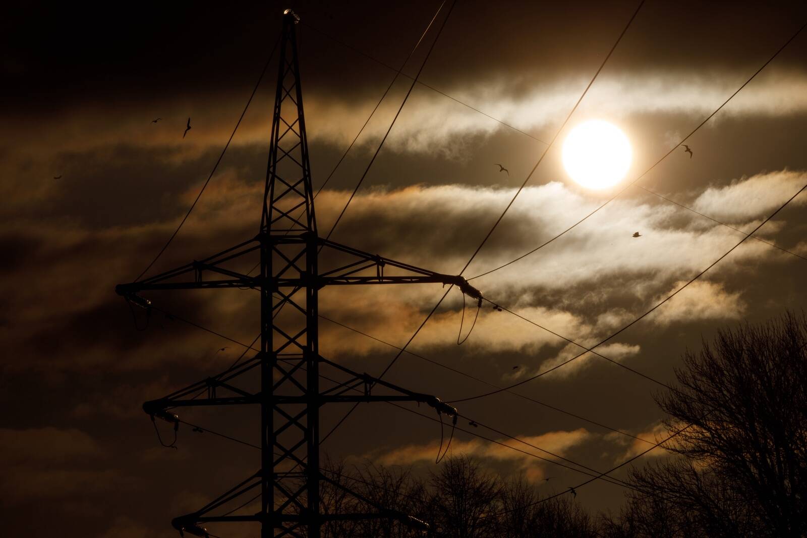 По данным Eesti Energia, универсальной услугой продолжают пользоваться около 70 000 клиентов компании.