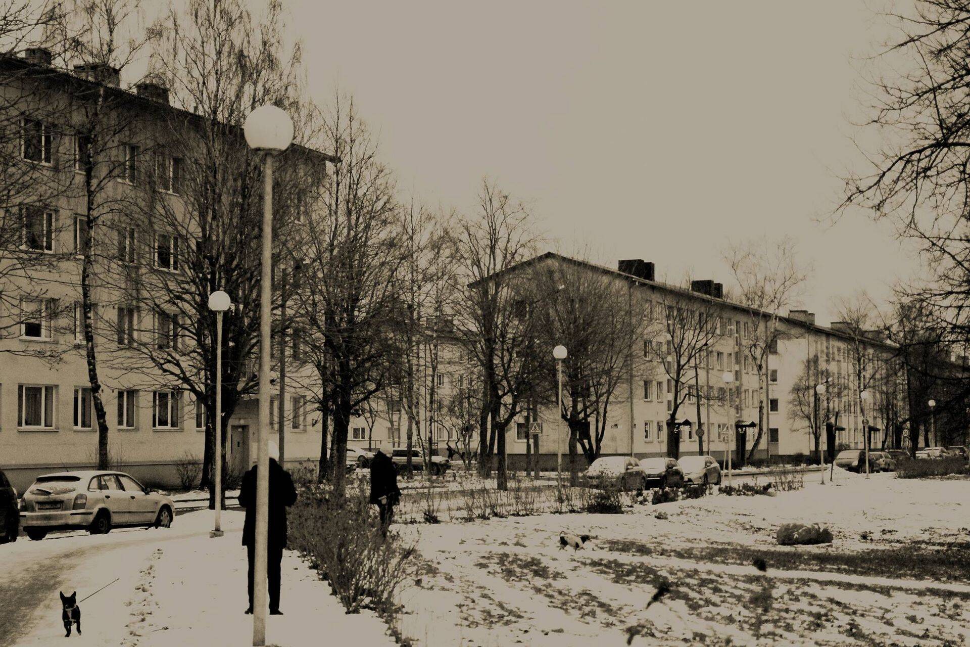 Põhja-Tallinn