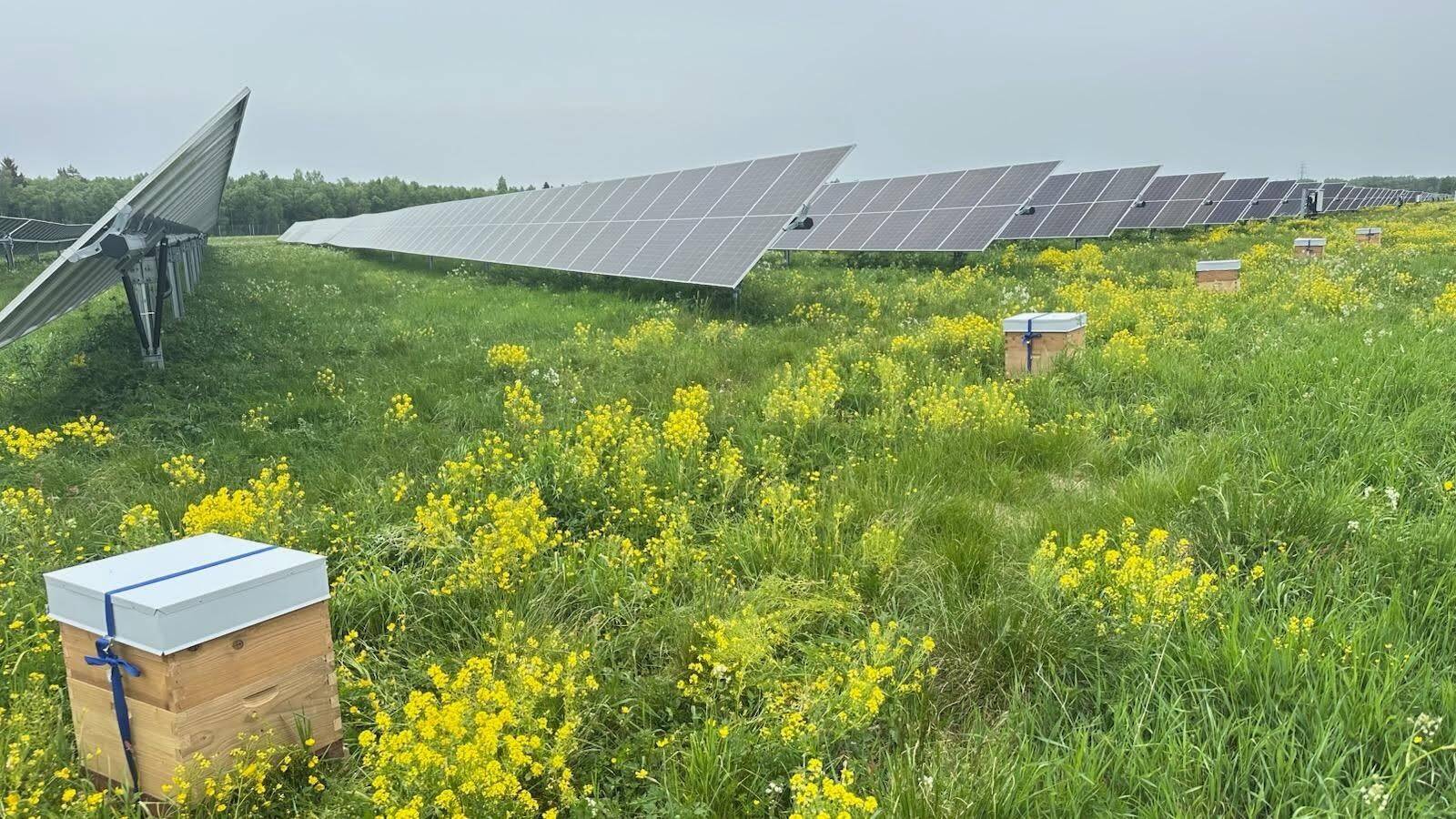 Enery alustas mee tootmist Rummu ja Järsi parkides.