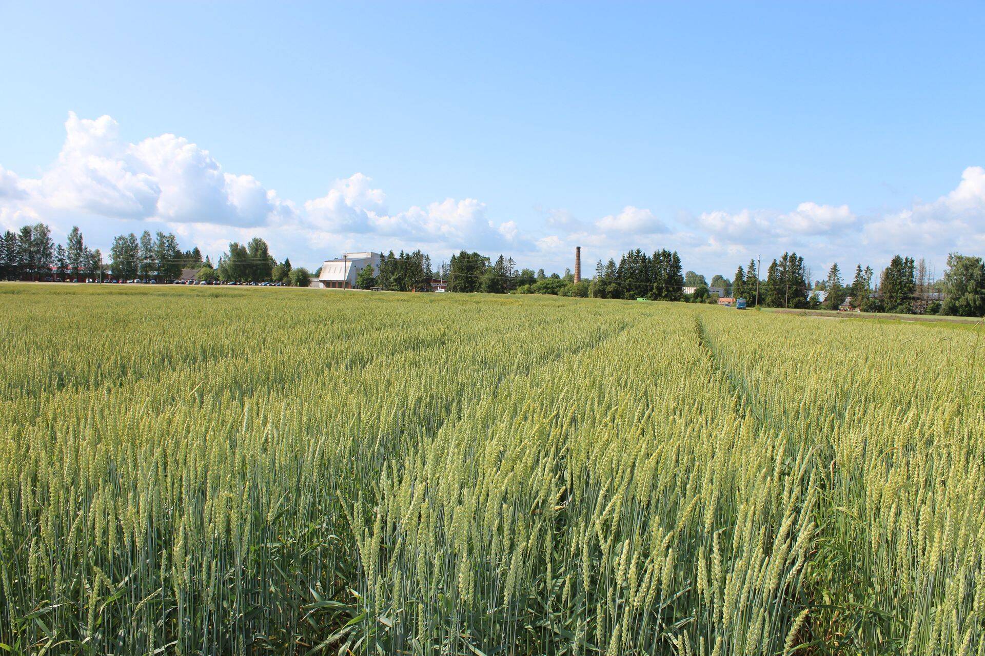 Agri Con kutsub seminarile!