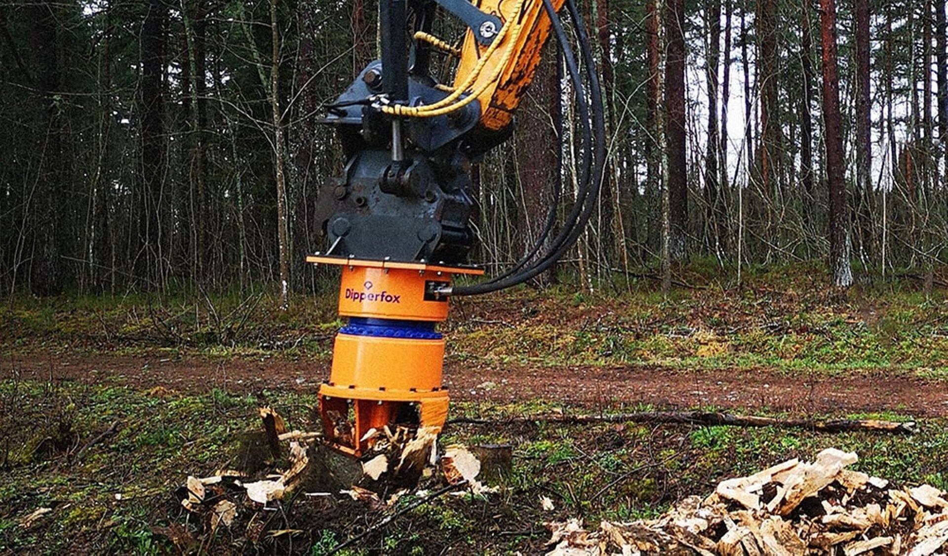 Dipperfoxi kännupuur.