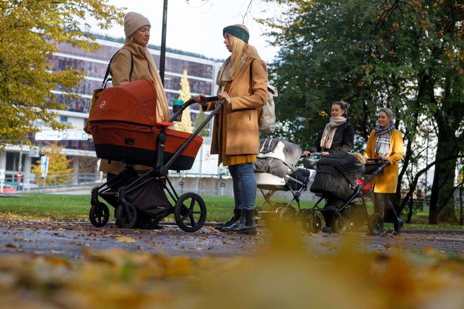 С 1 января 2024 года размер пособия для многодетной семьи, где растет от трех до шести детей, составит 450 евро в месяц, а для семьи с семью и более детьми – 650 евро в месяц. Фото иллюстративное.