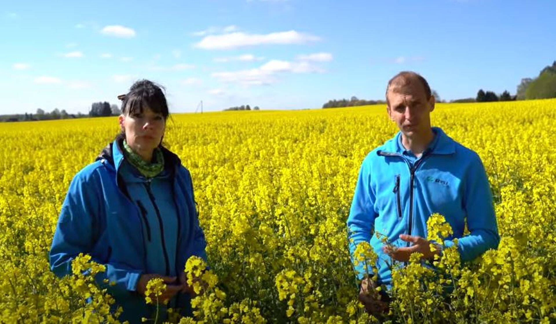 KEVILI Põllujalutus Pildis 2020